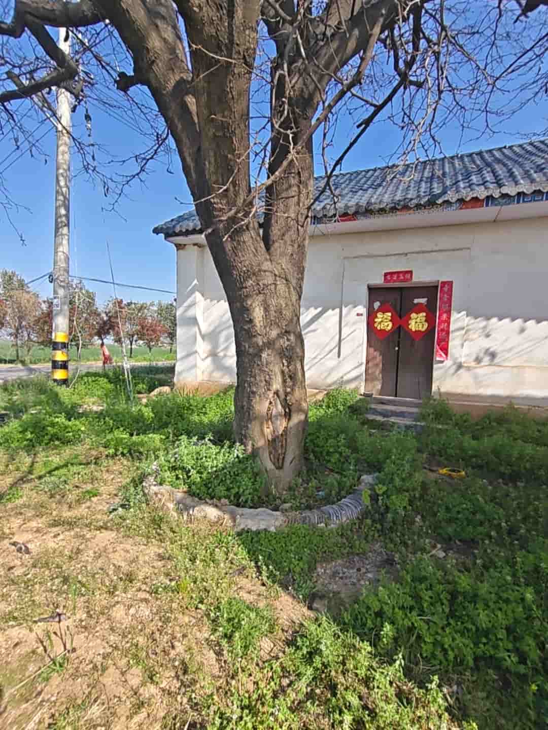 41032900654