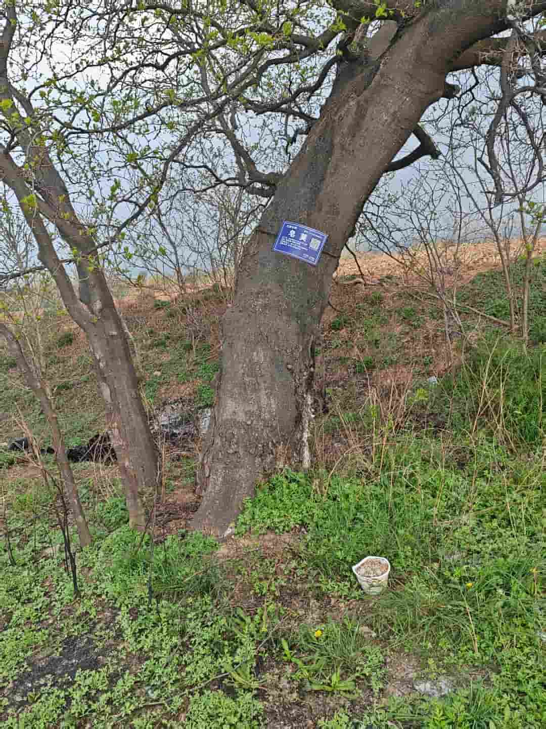 41032900678-2