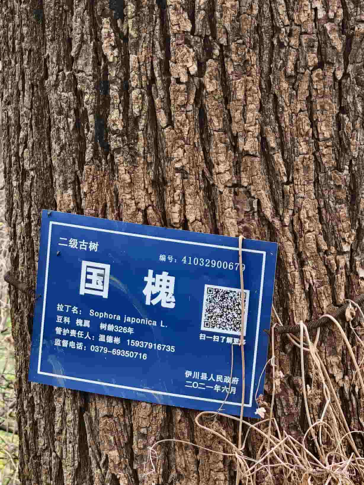 41032900679-5