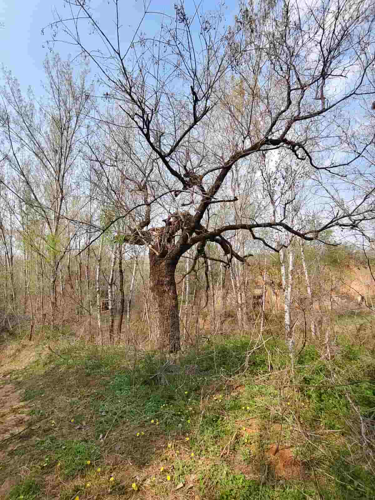41032900688