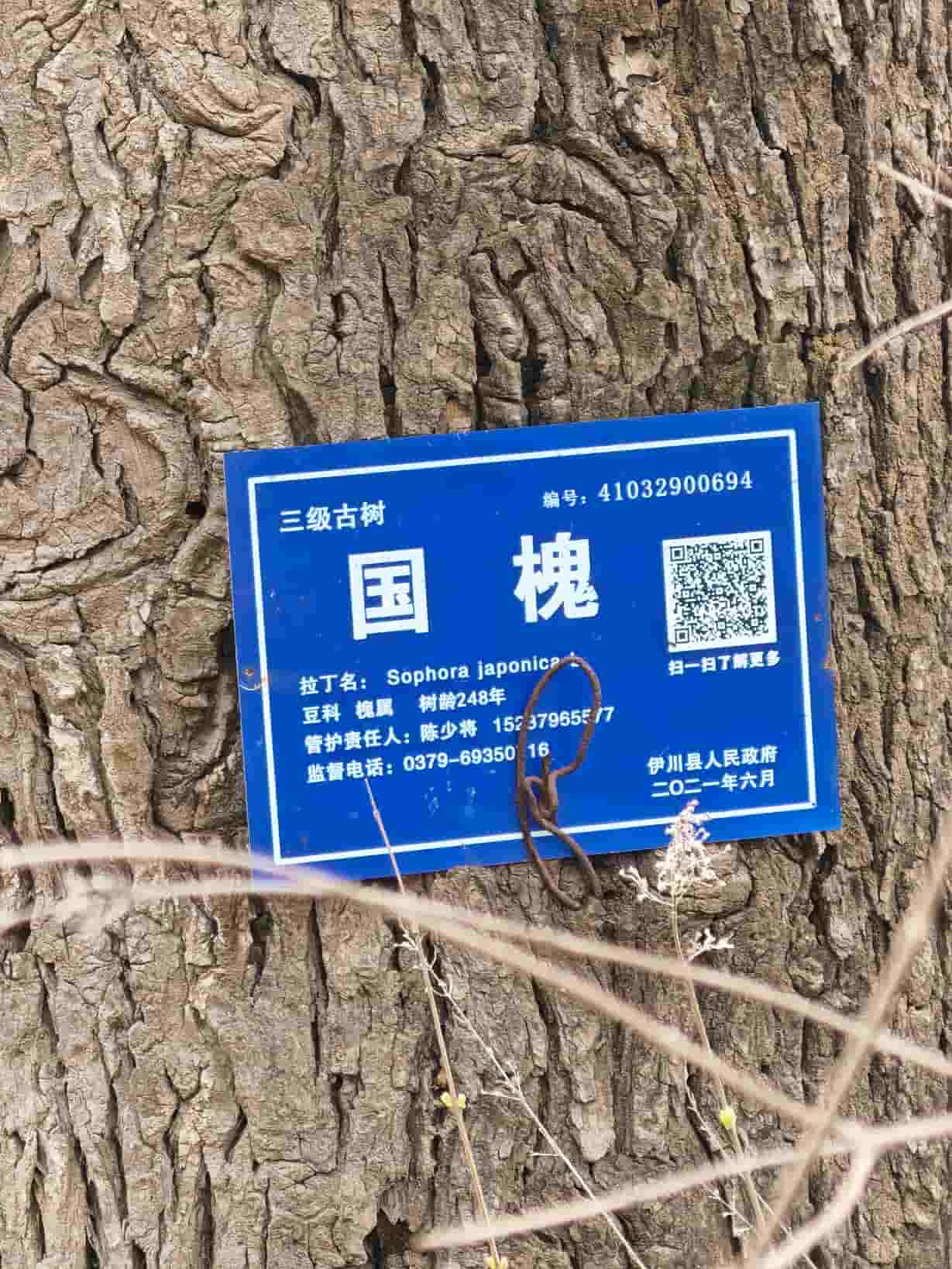 41032900694