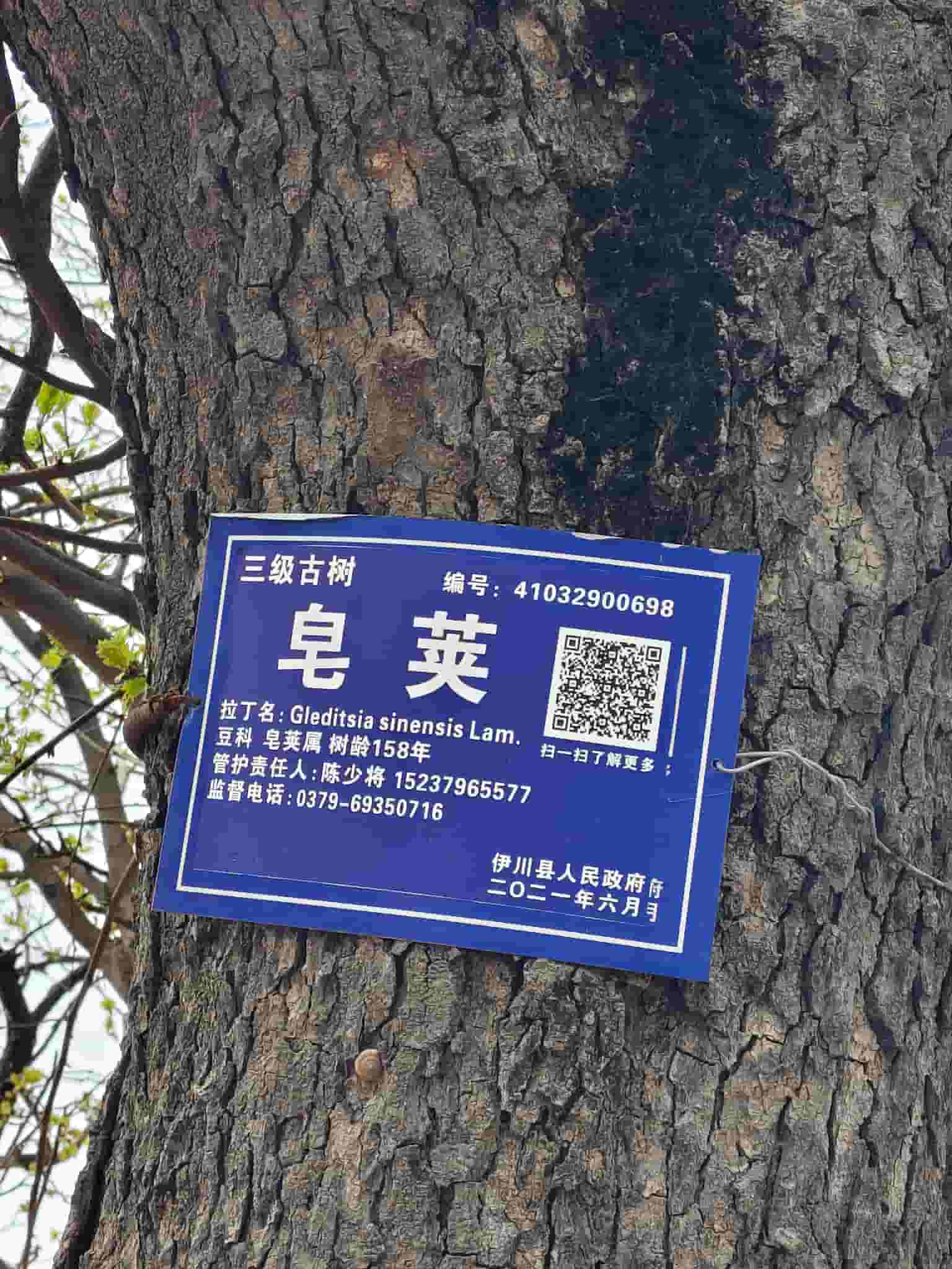 41032900698-6
