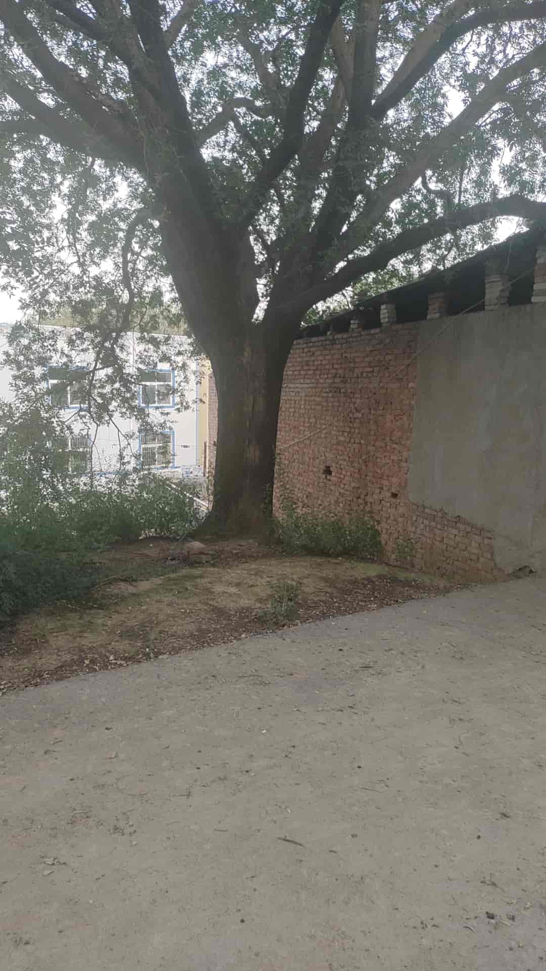 41032900699-5