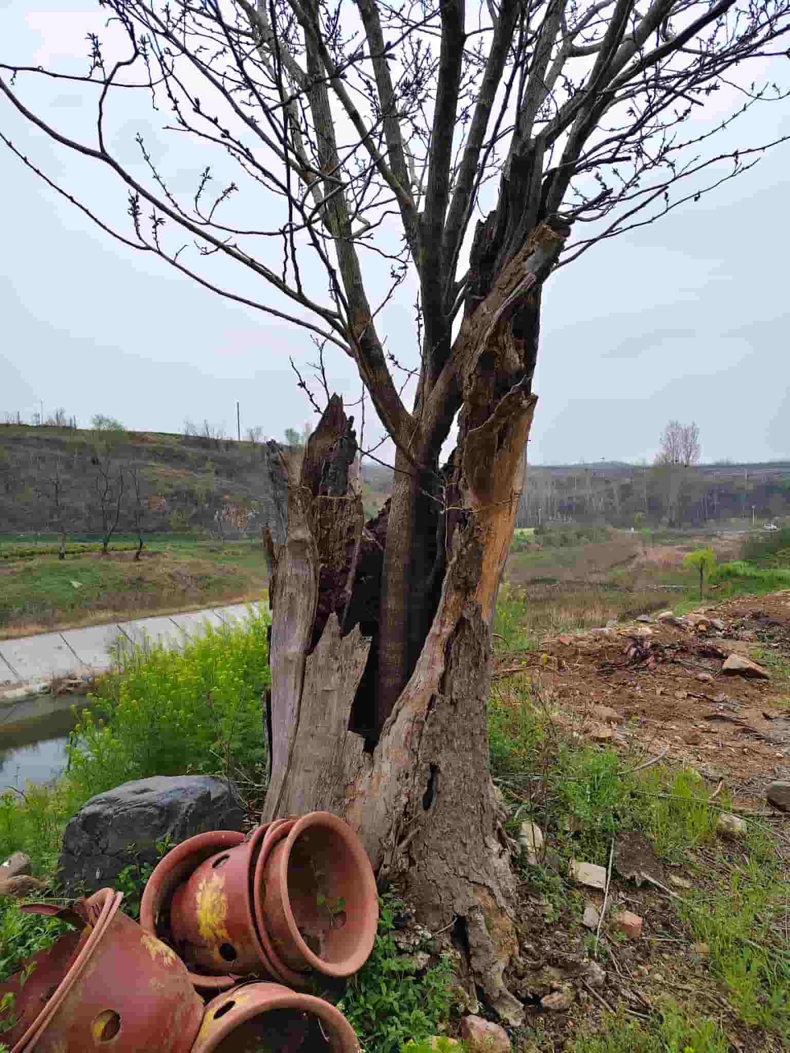 41032900702-3