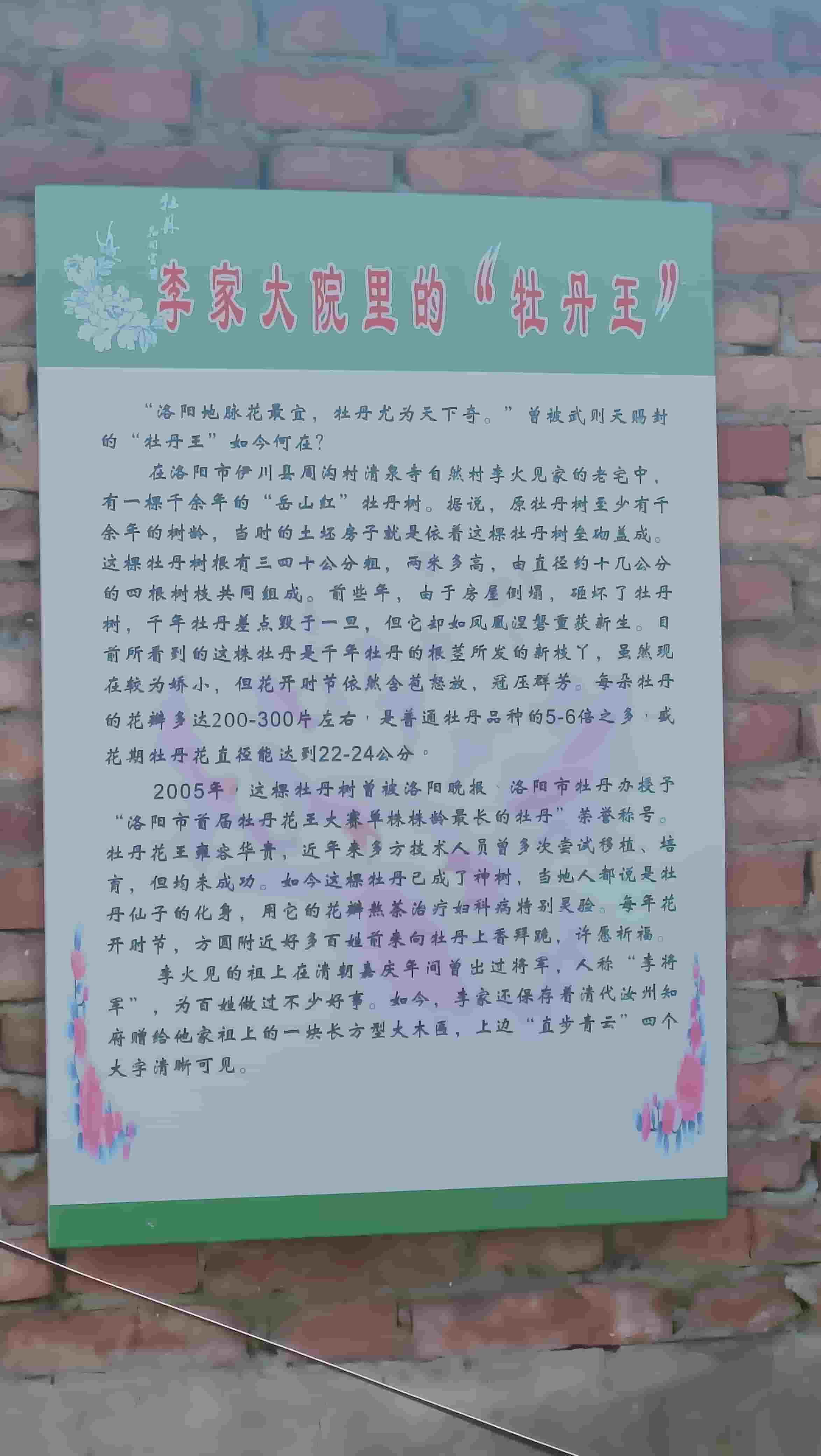 41032900704-2