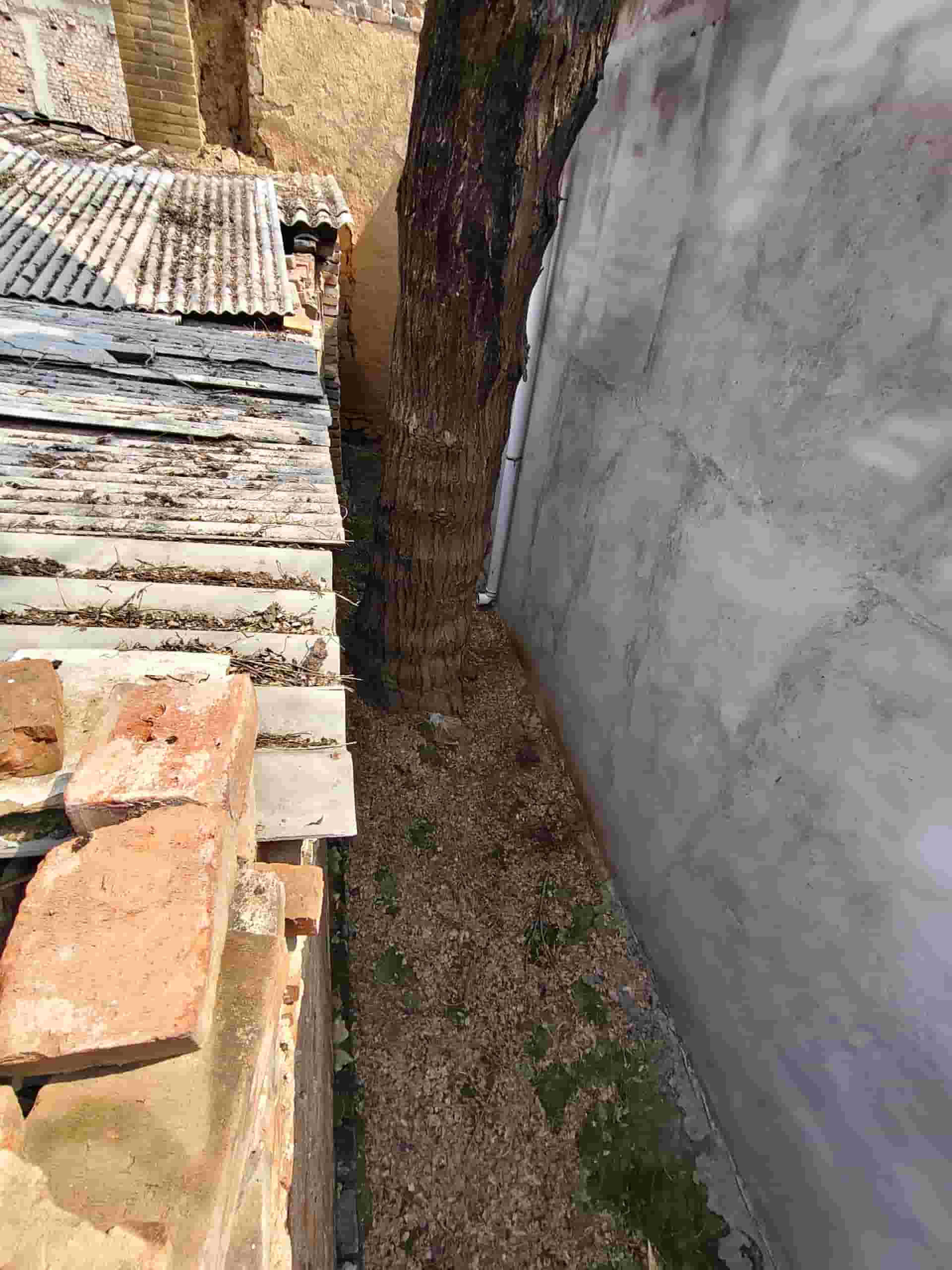 41032900711-4
