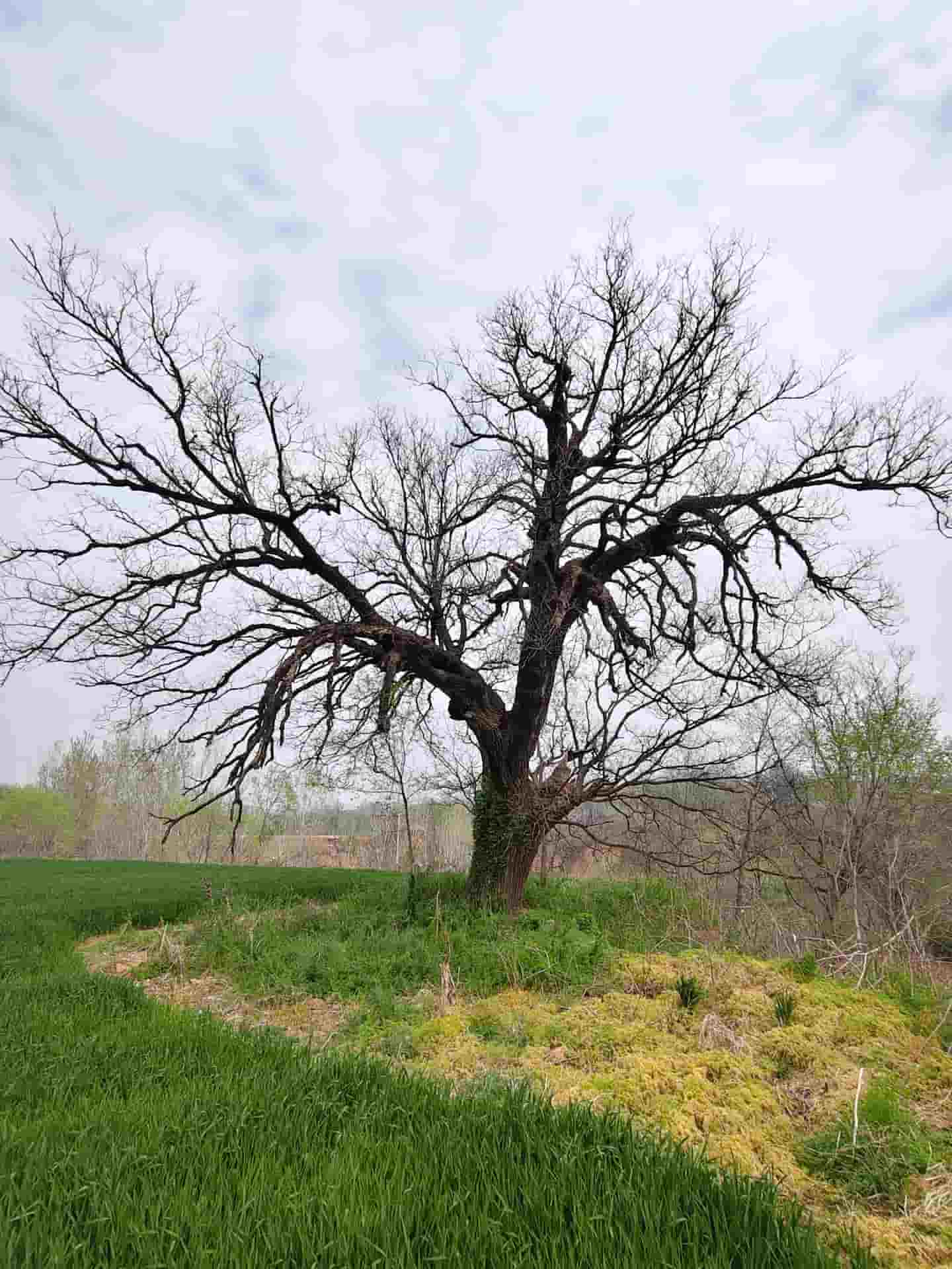 41032900742-4