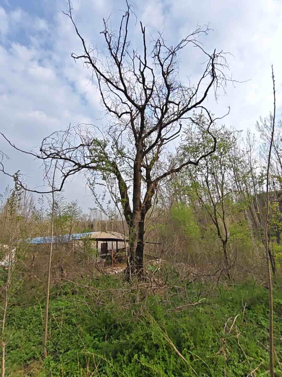 41032900744