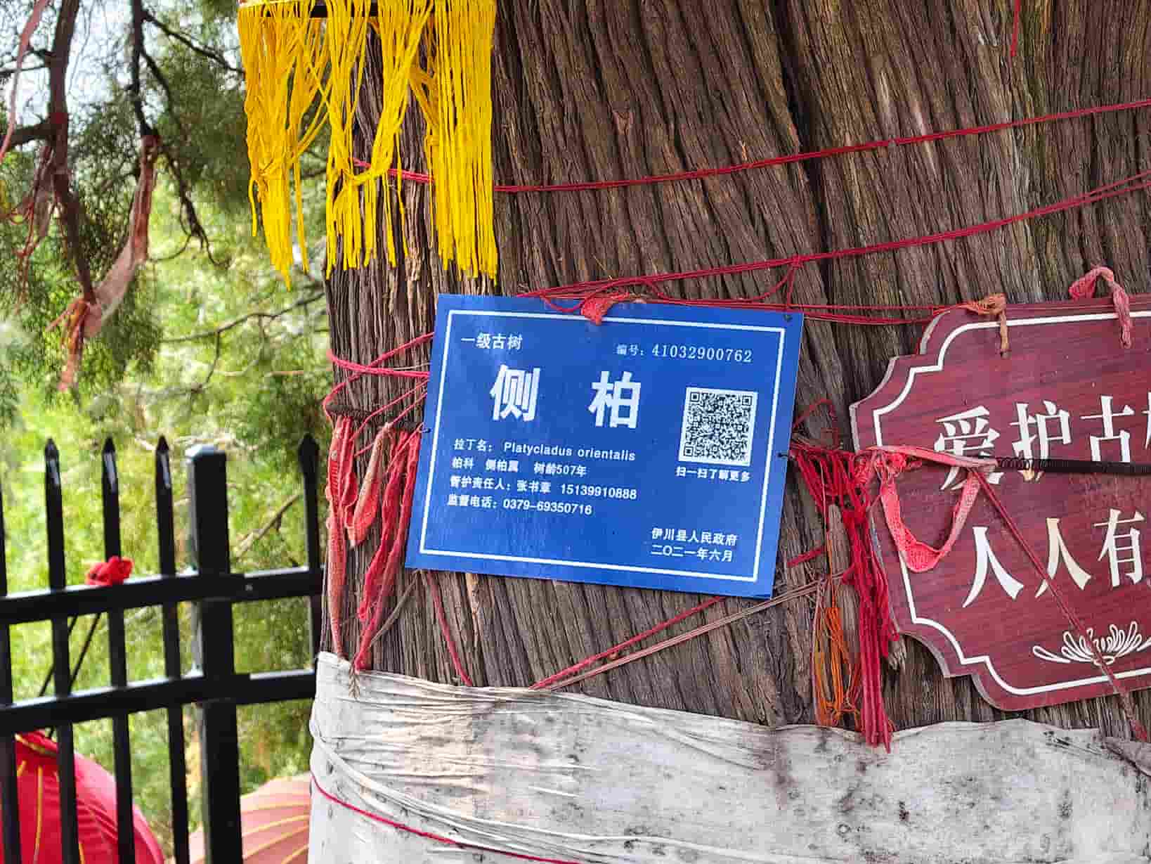 41032900762-4