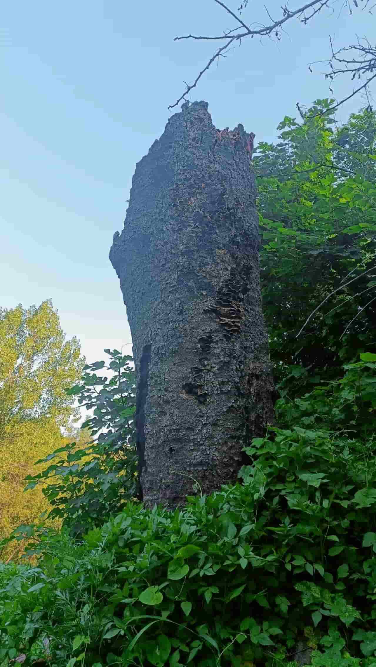 41032900780-3
