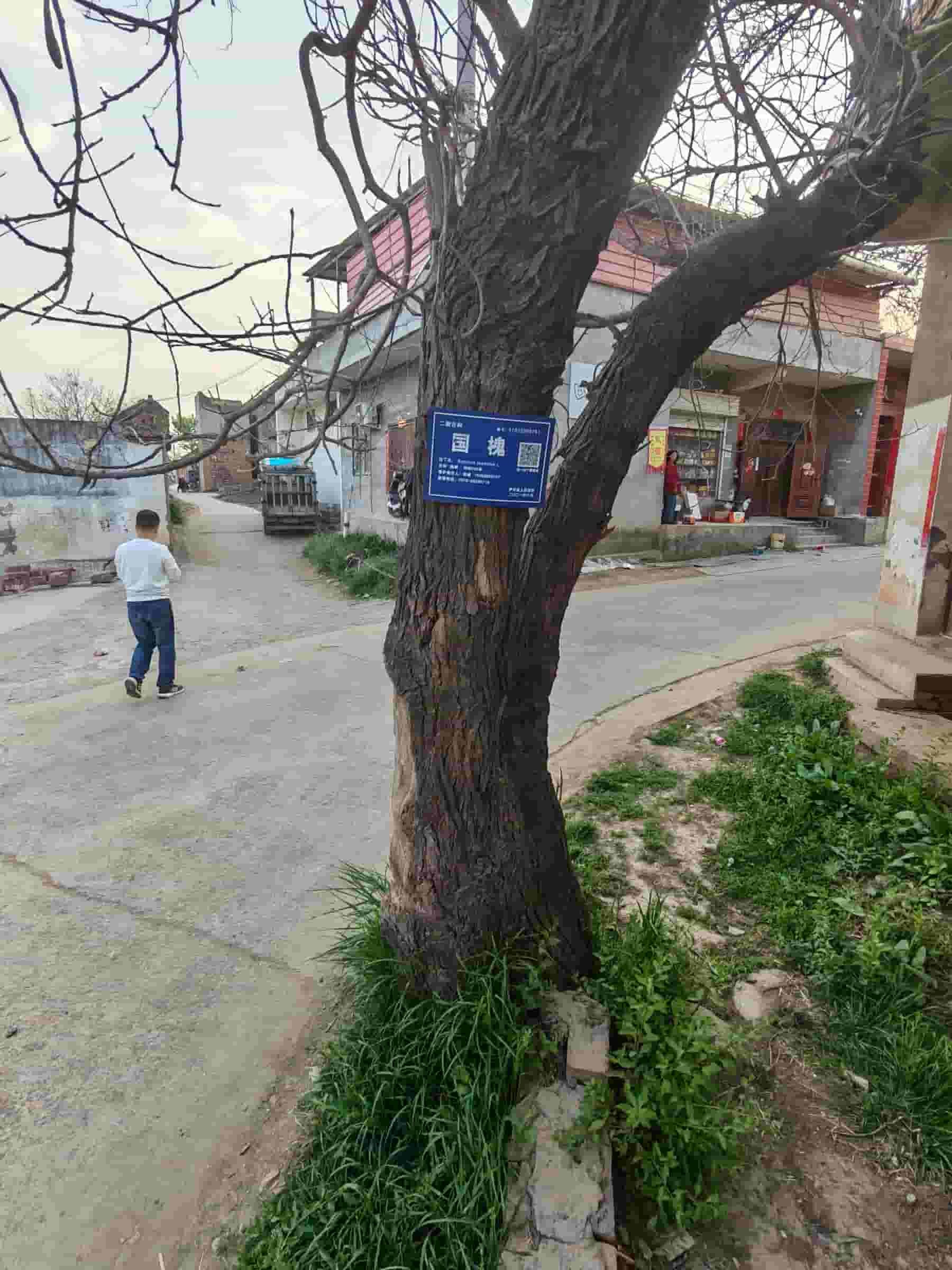 41032900781-2