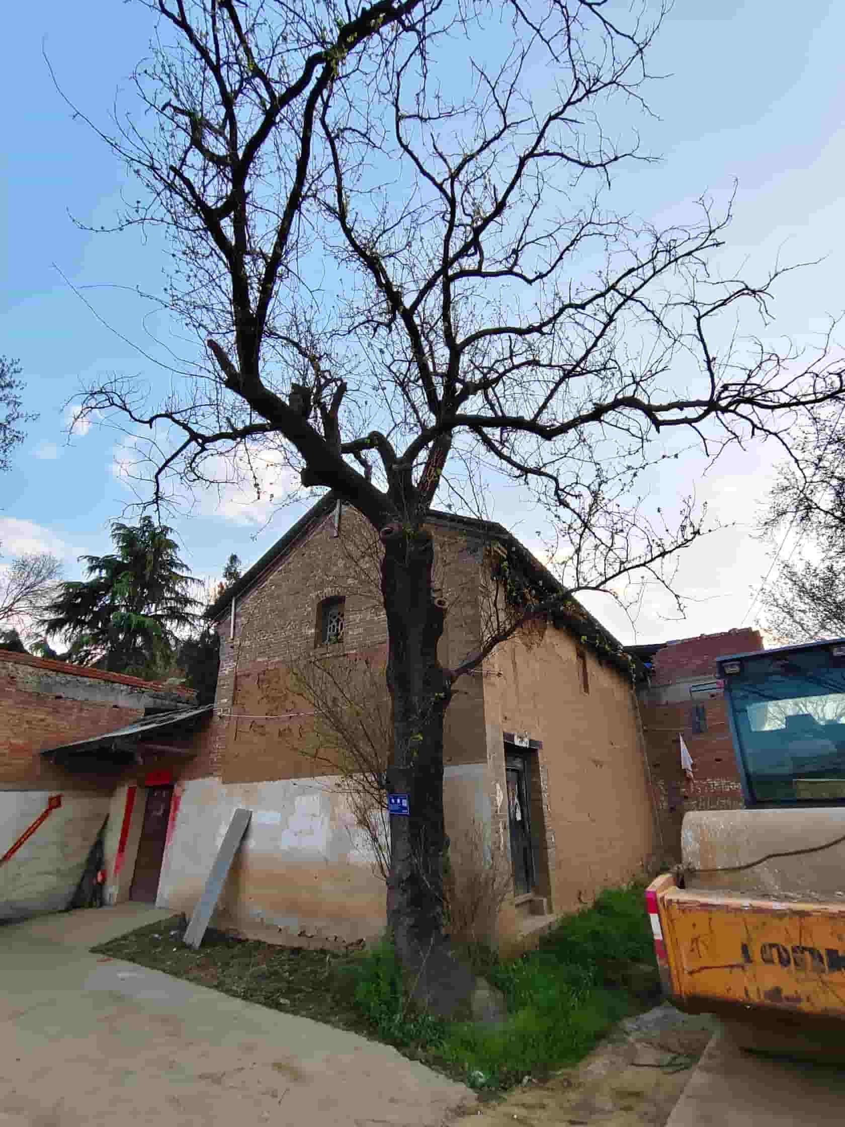 41032900783