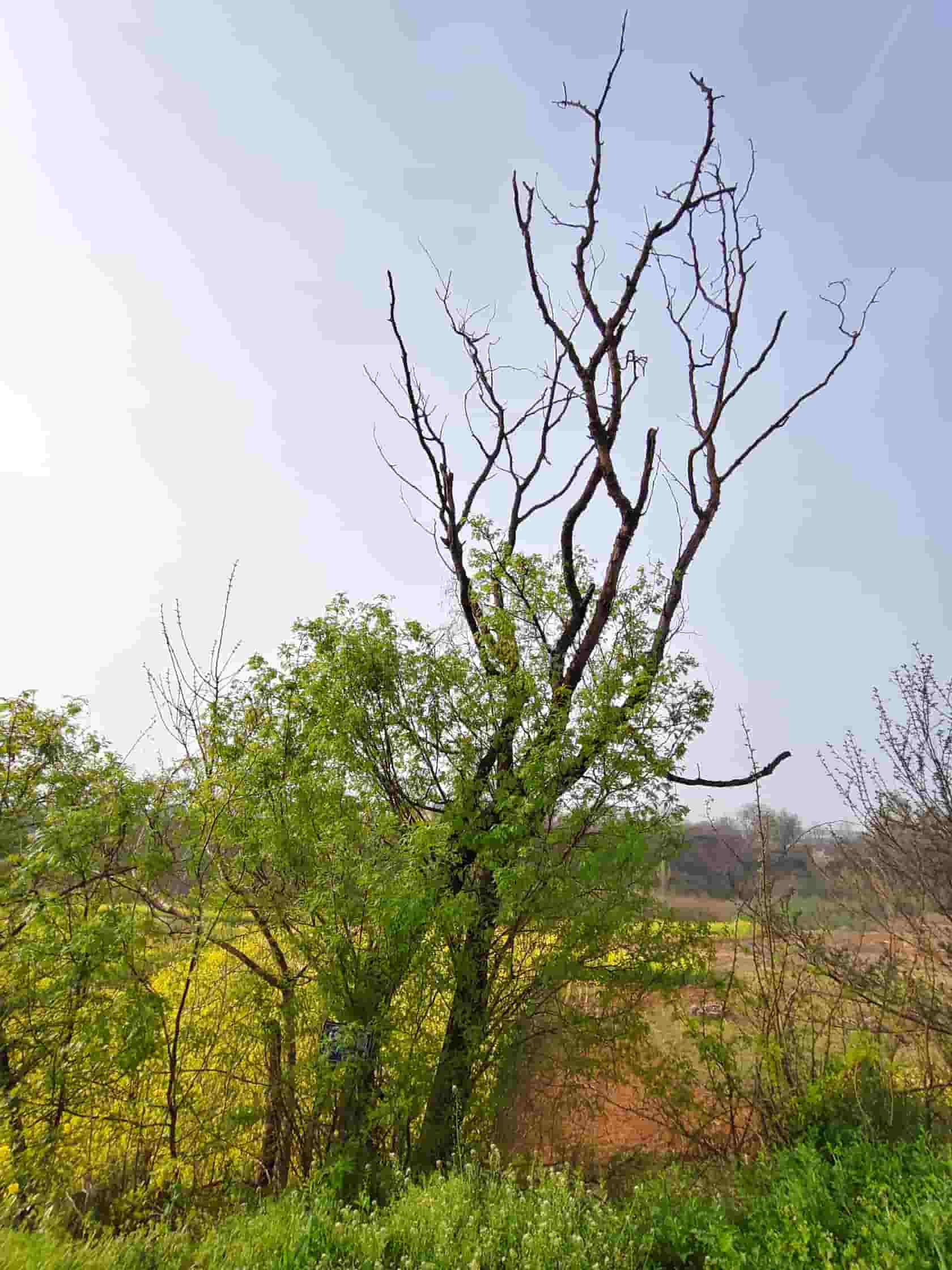 41032900802-4