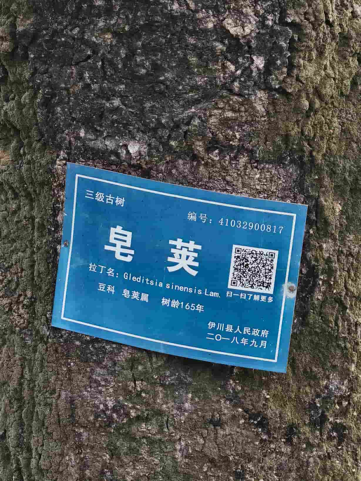 41032900817-3
