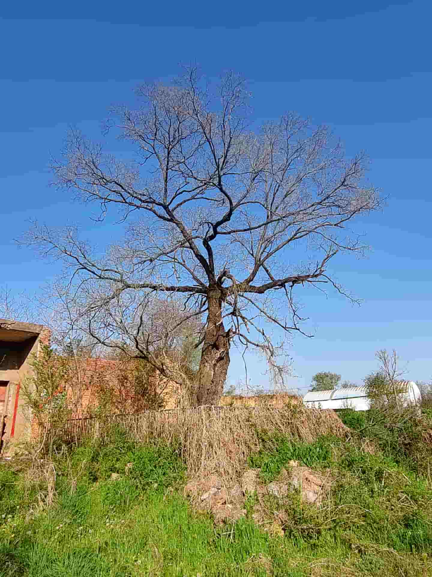 41032900822