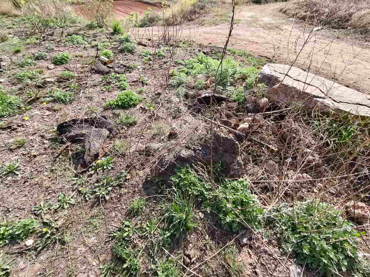 41032900826-2