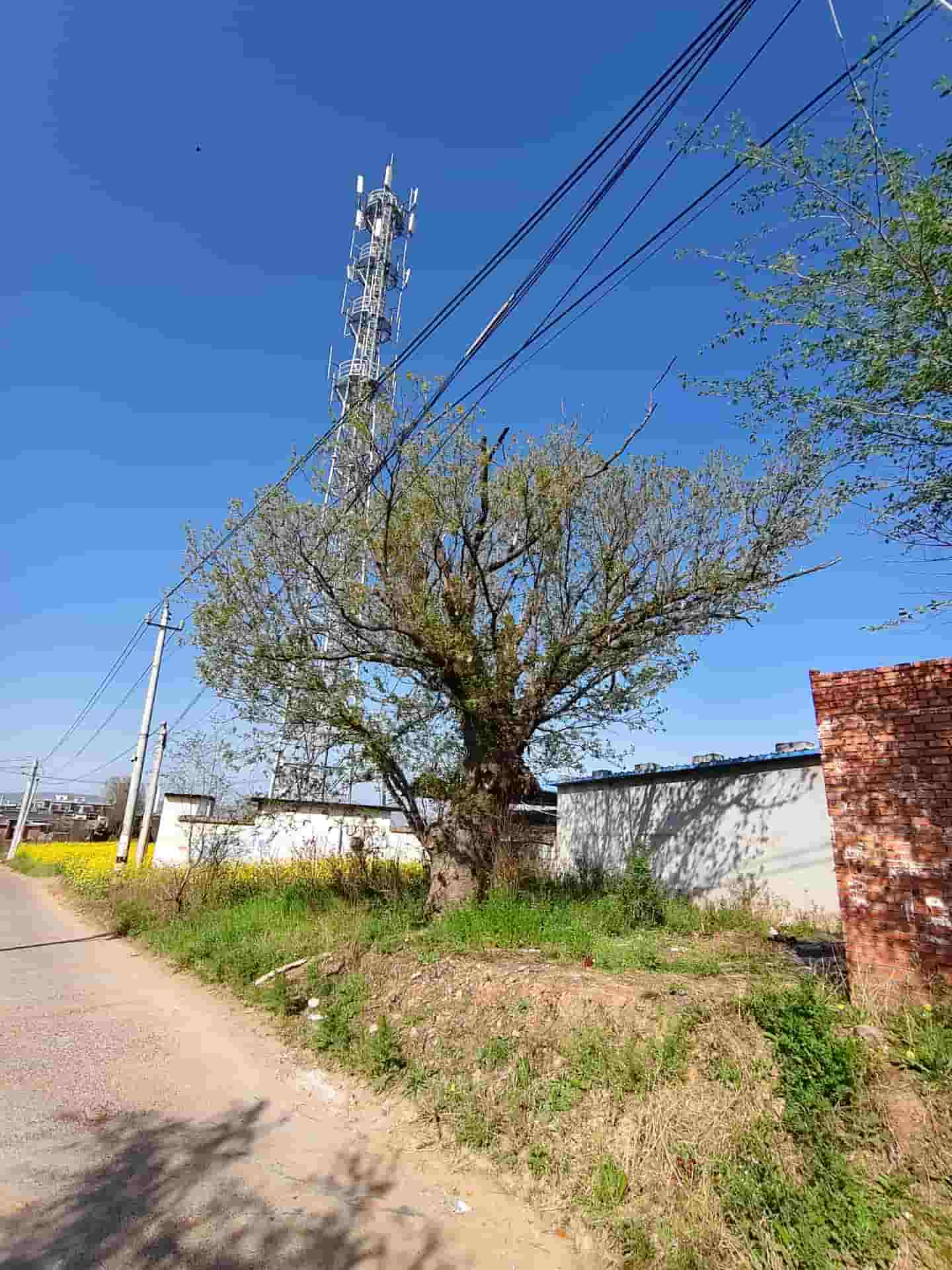 41032900831-4