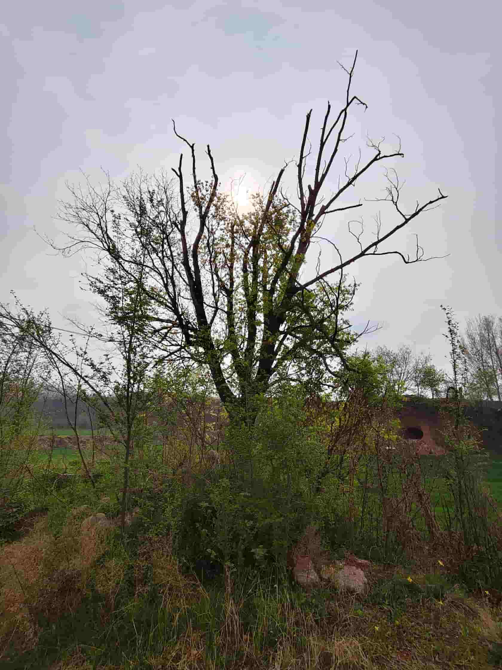 41032900832-4