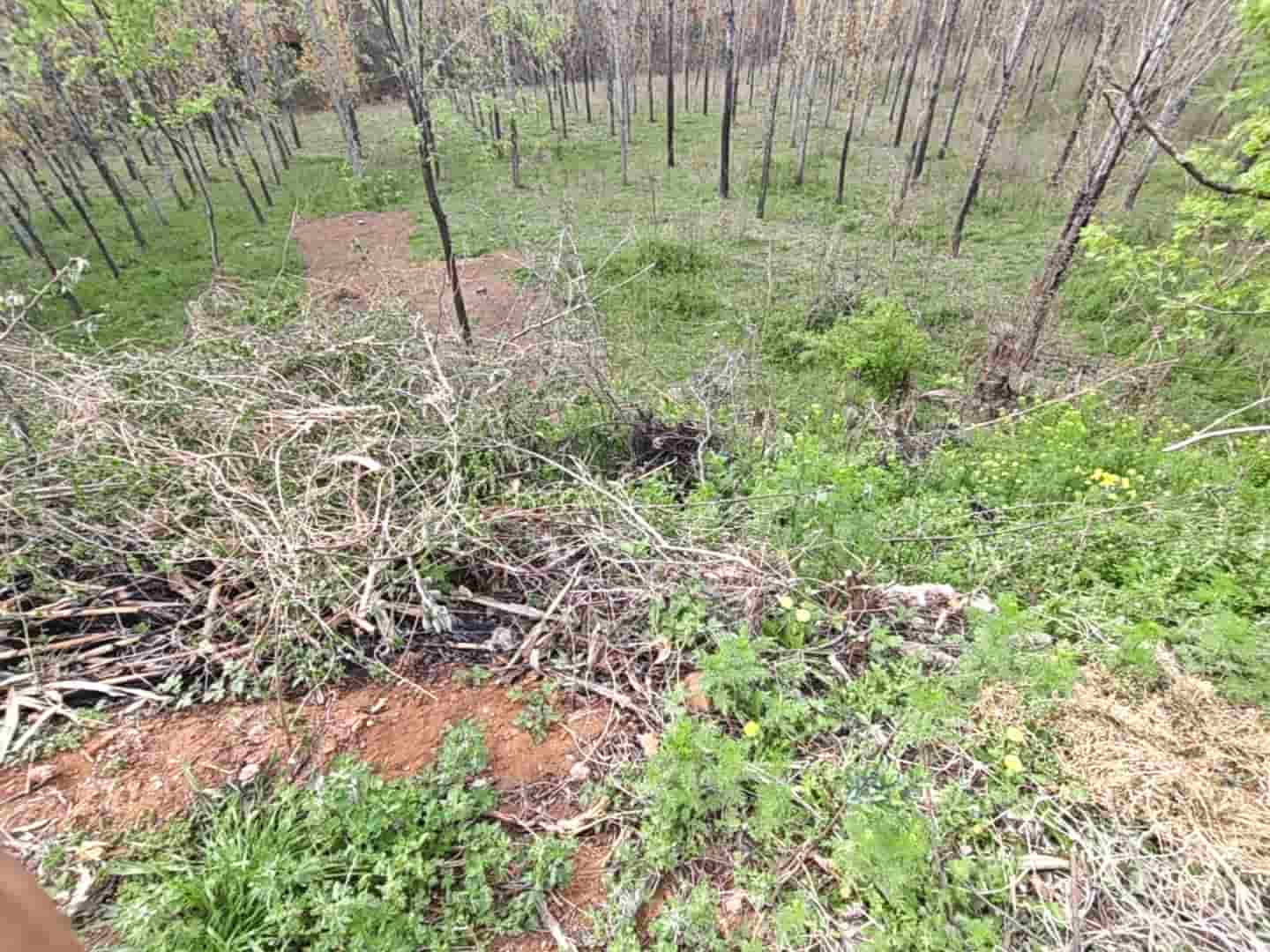 41032900834
