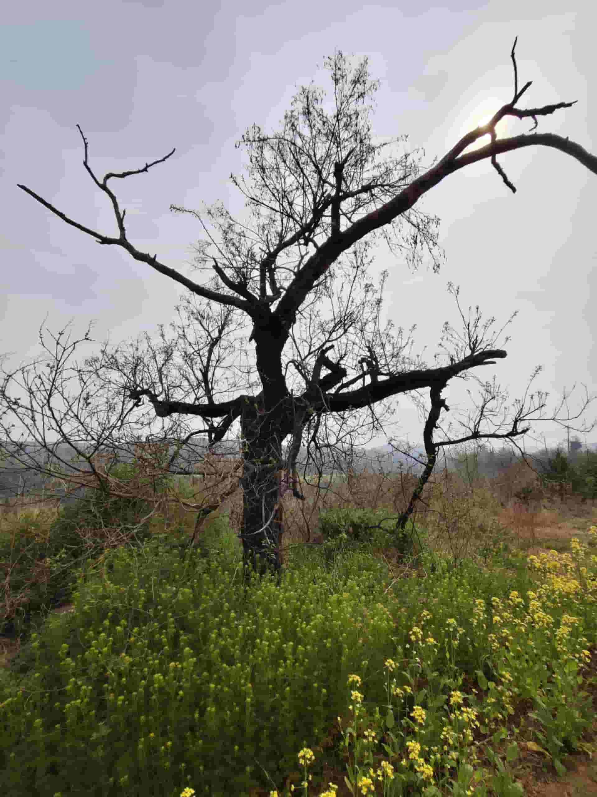 41032900840