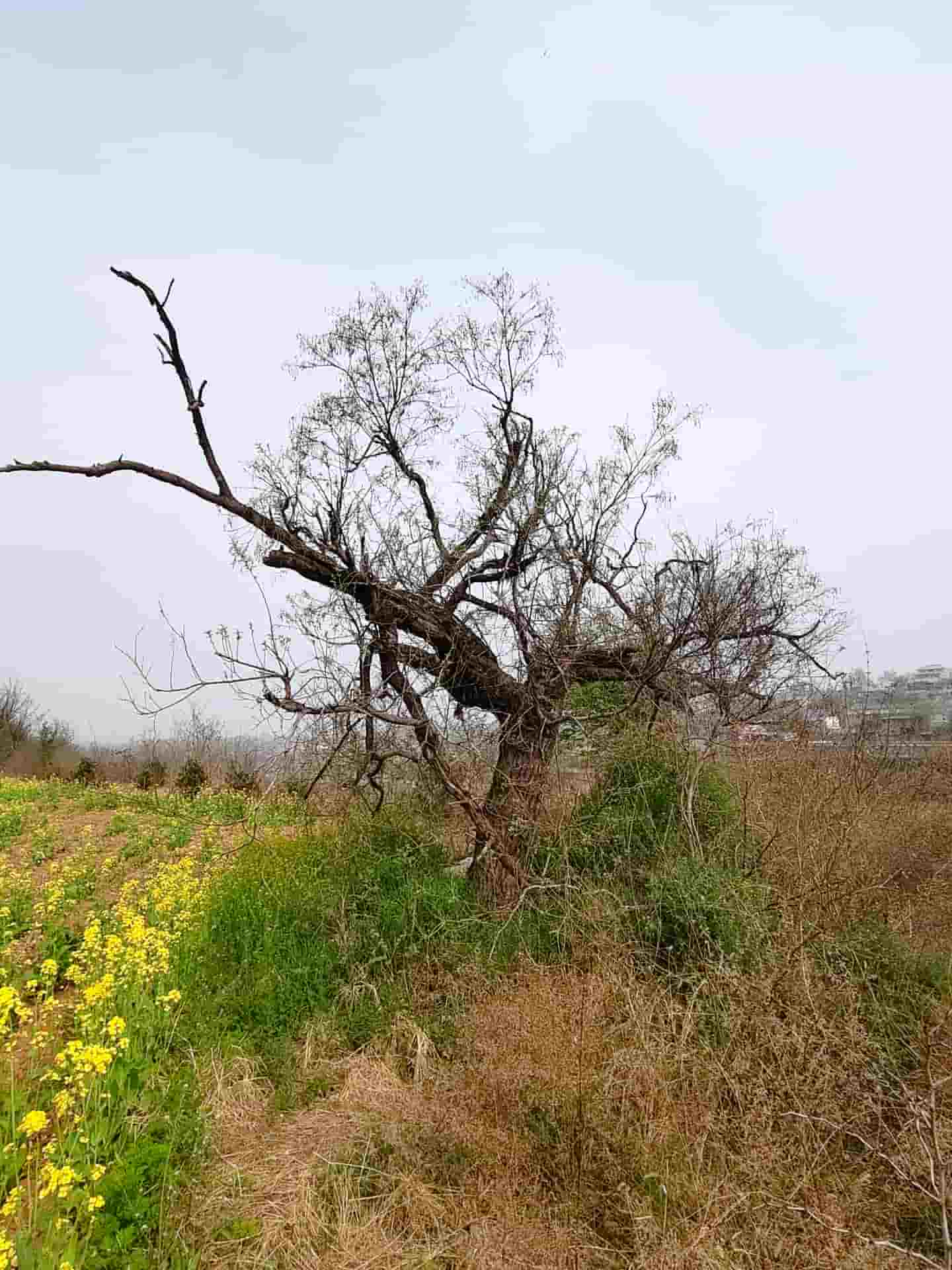 41032900840-3