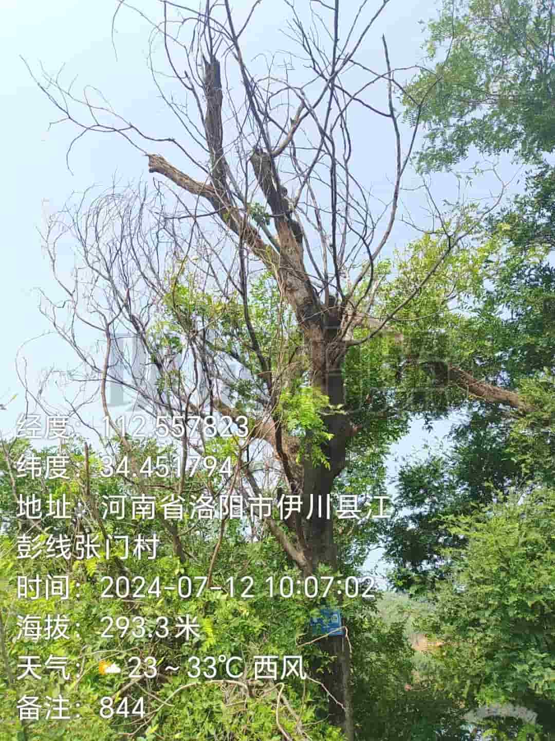41032900844