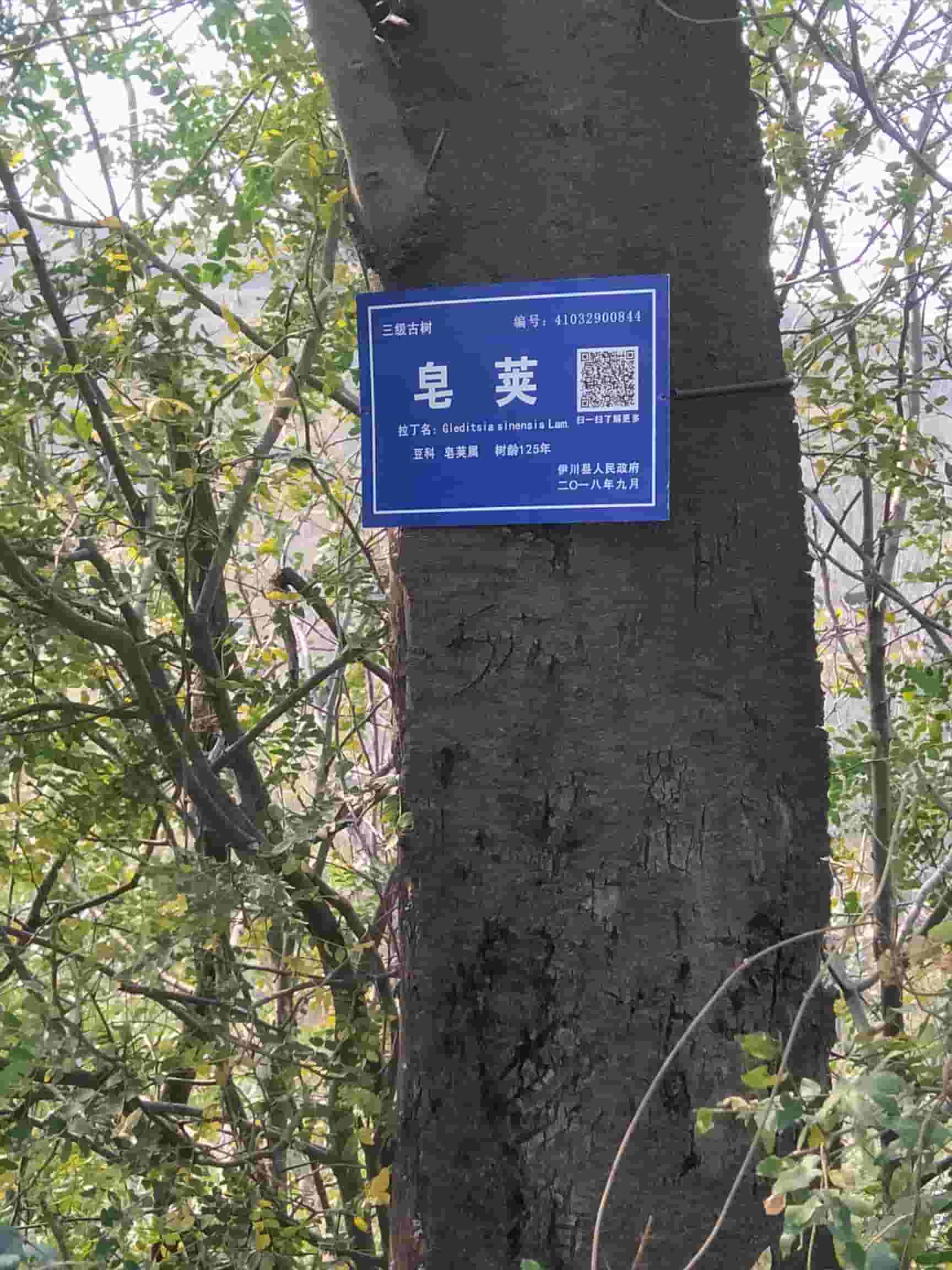 41032900844-3