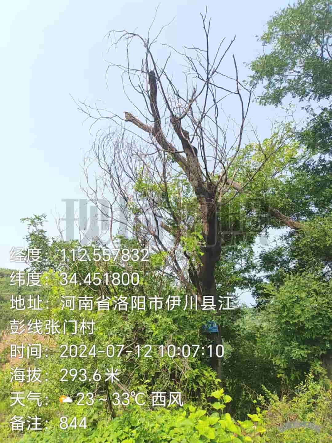 41032900844-4