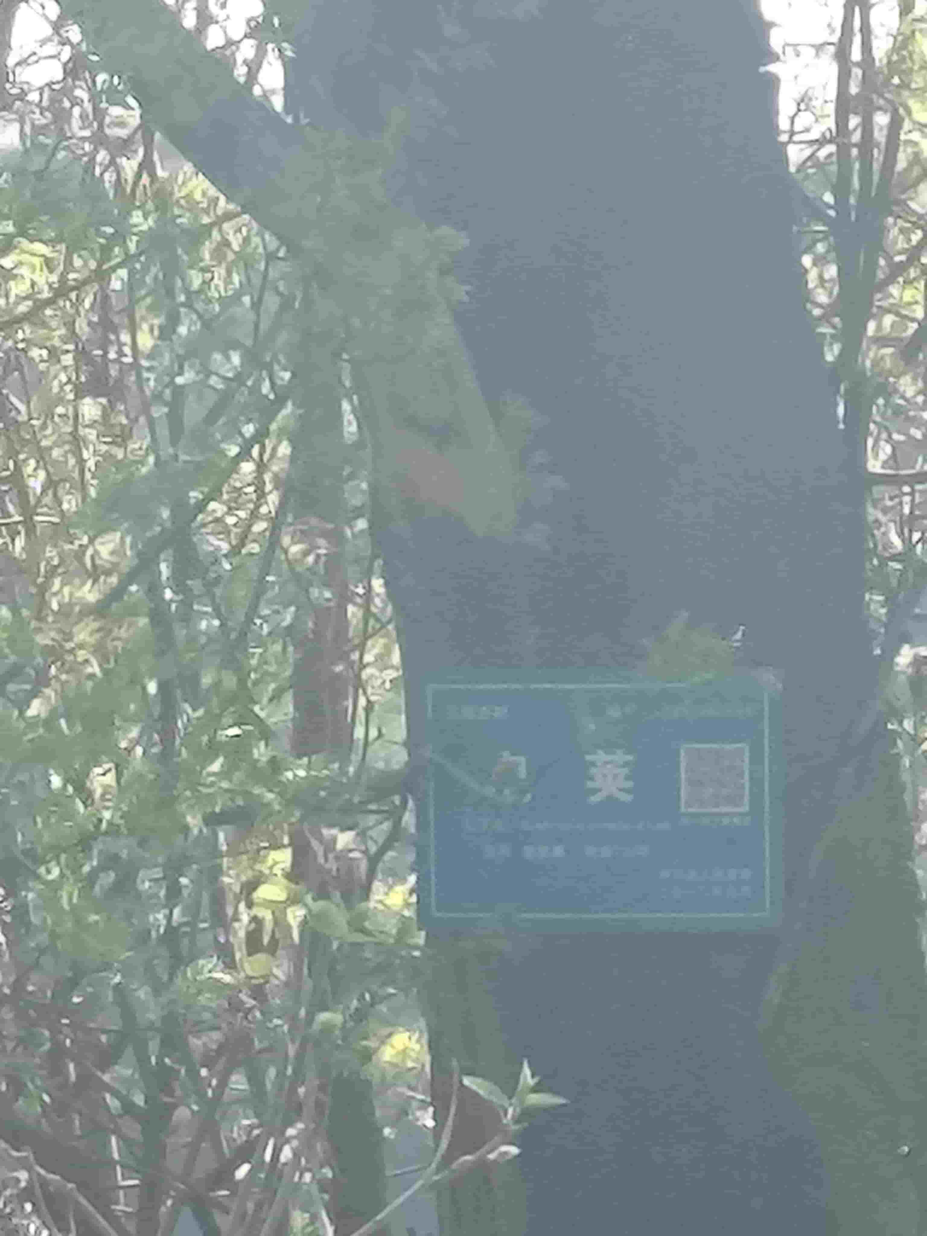 41032900845