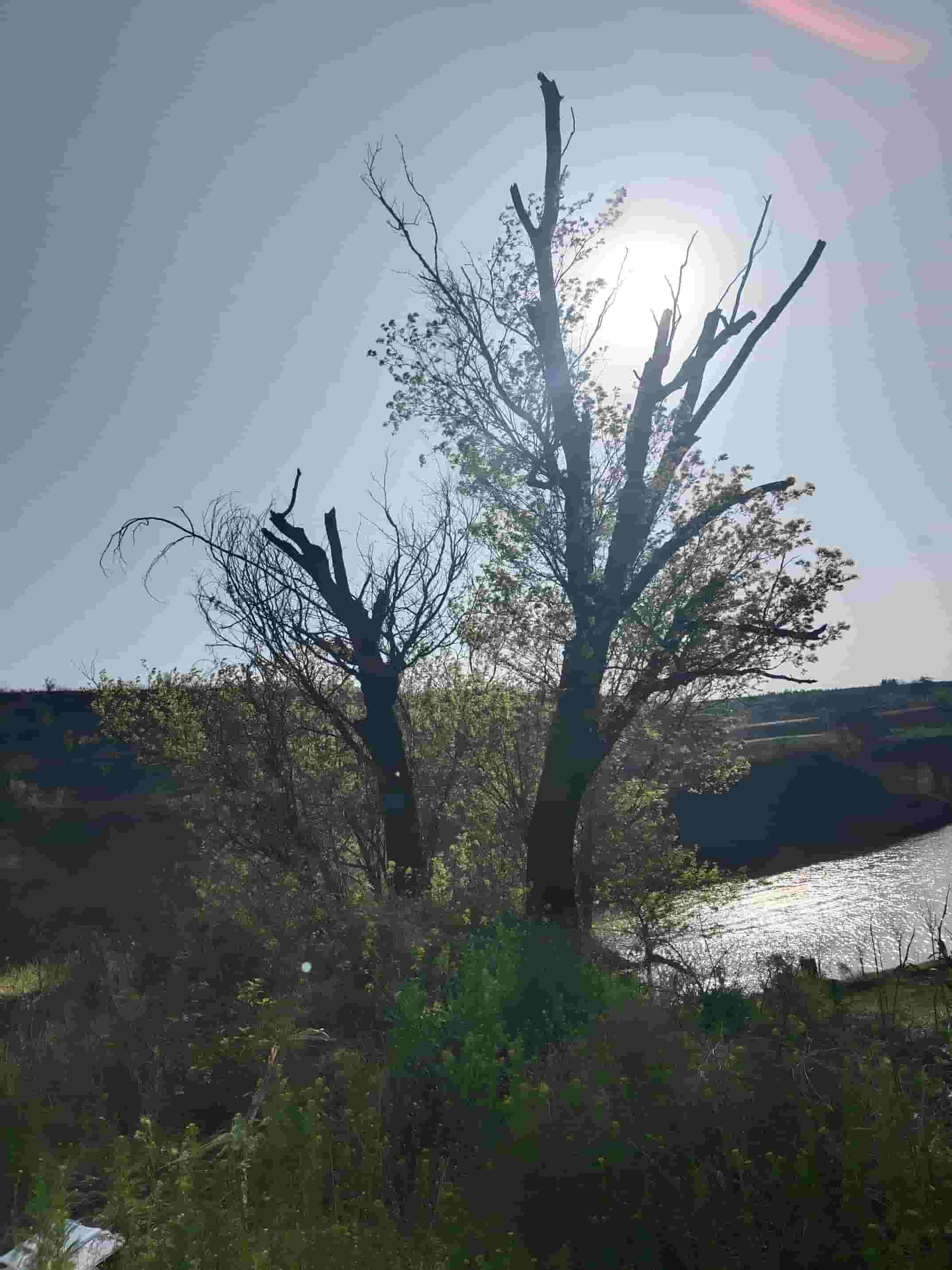 41032900845-2
