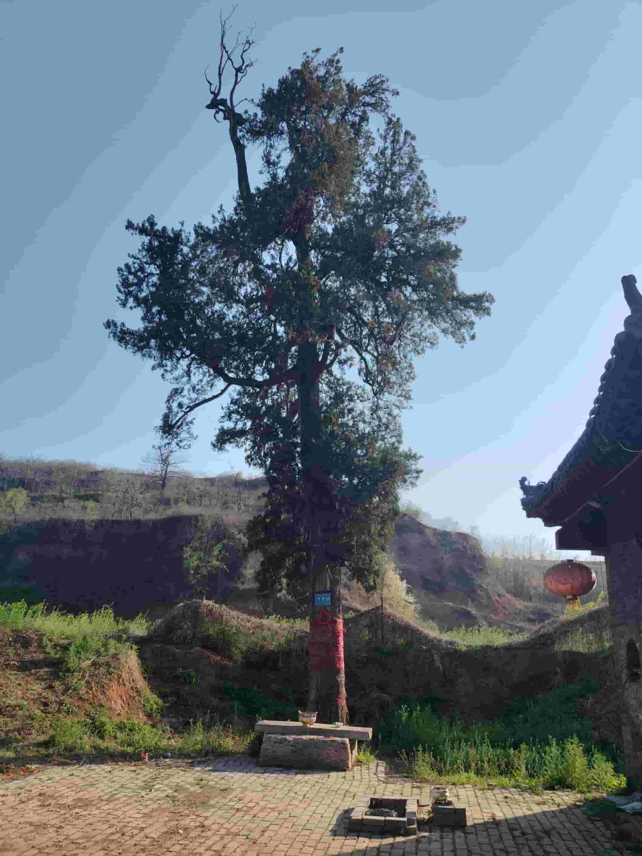 41032900849