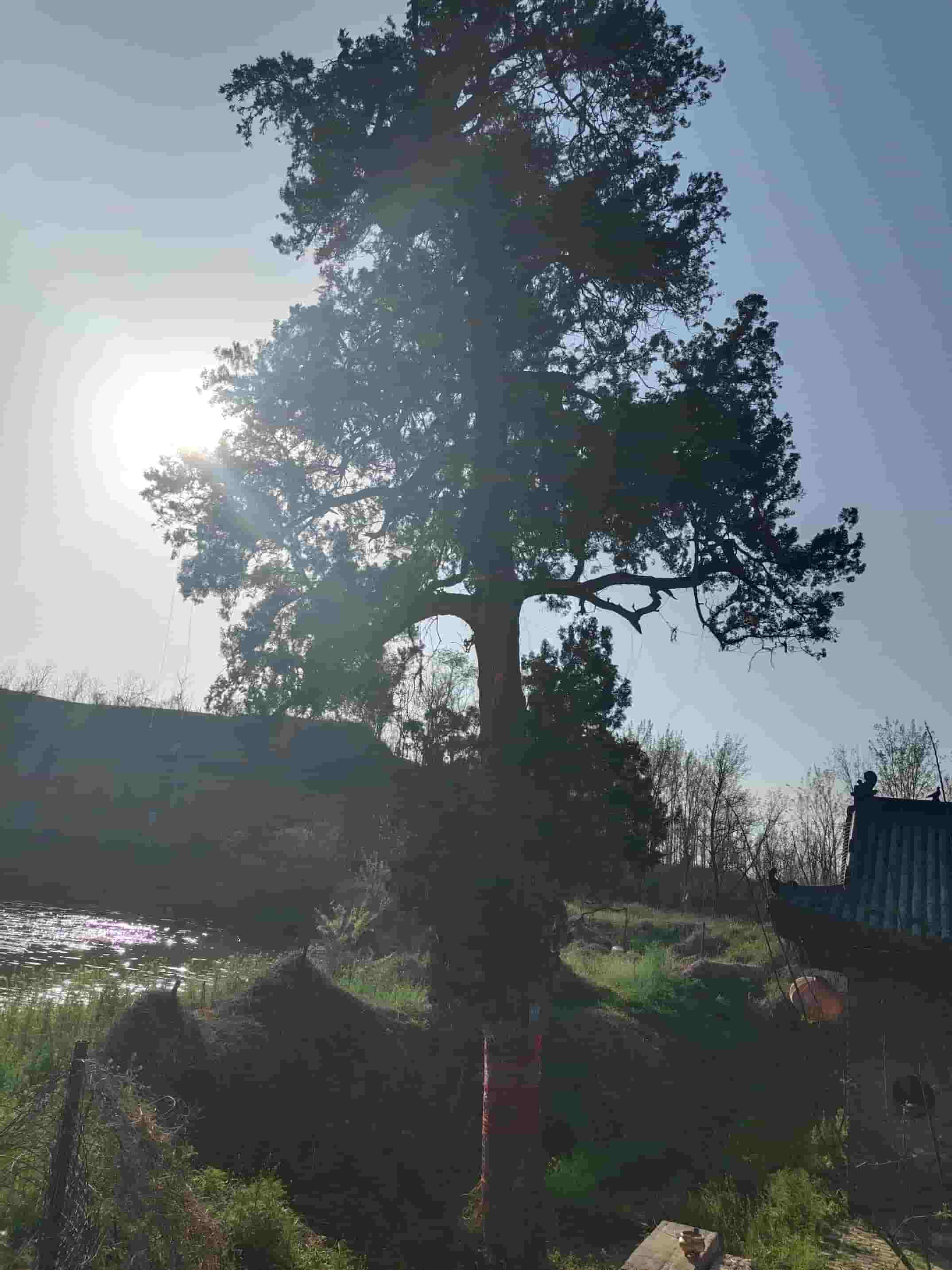 41032900849-4