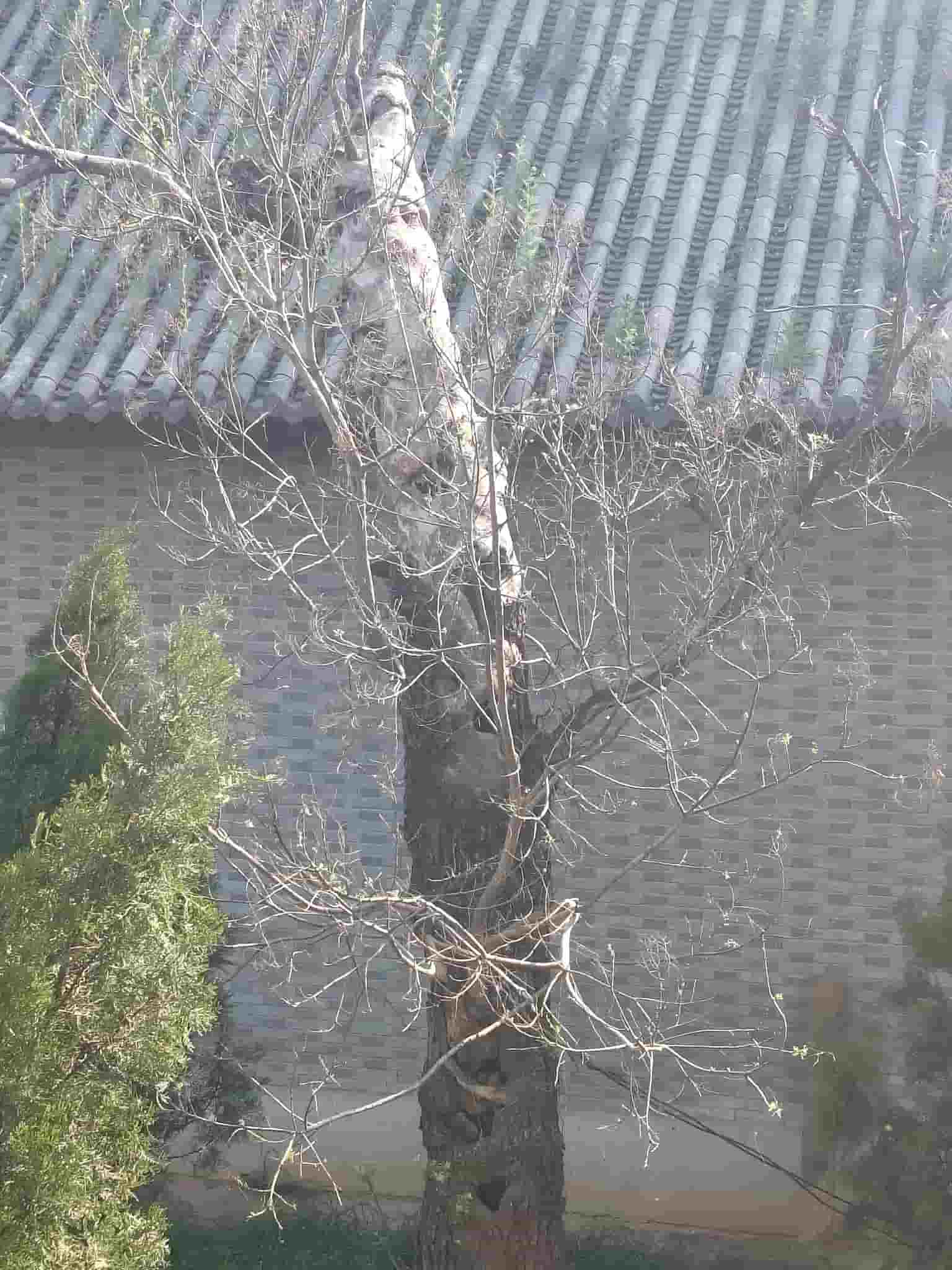 41032900852-2