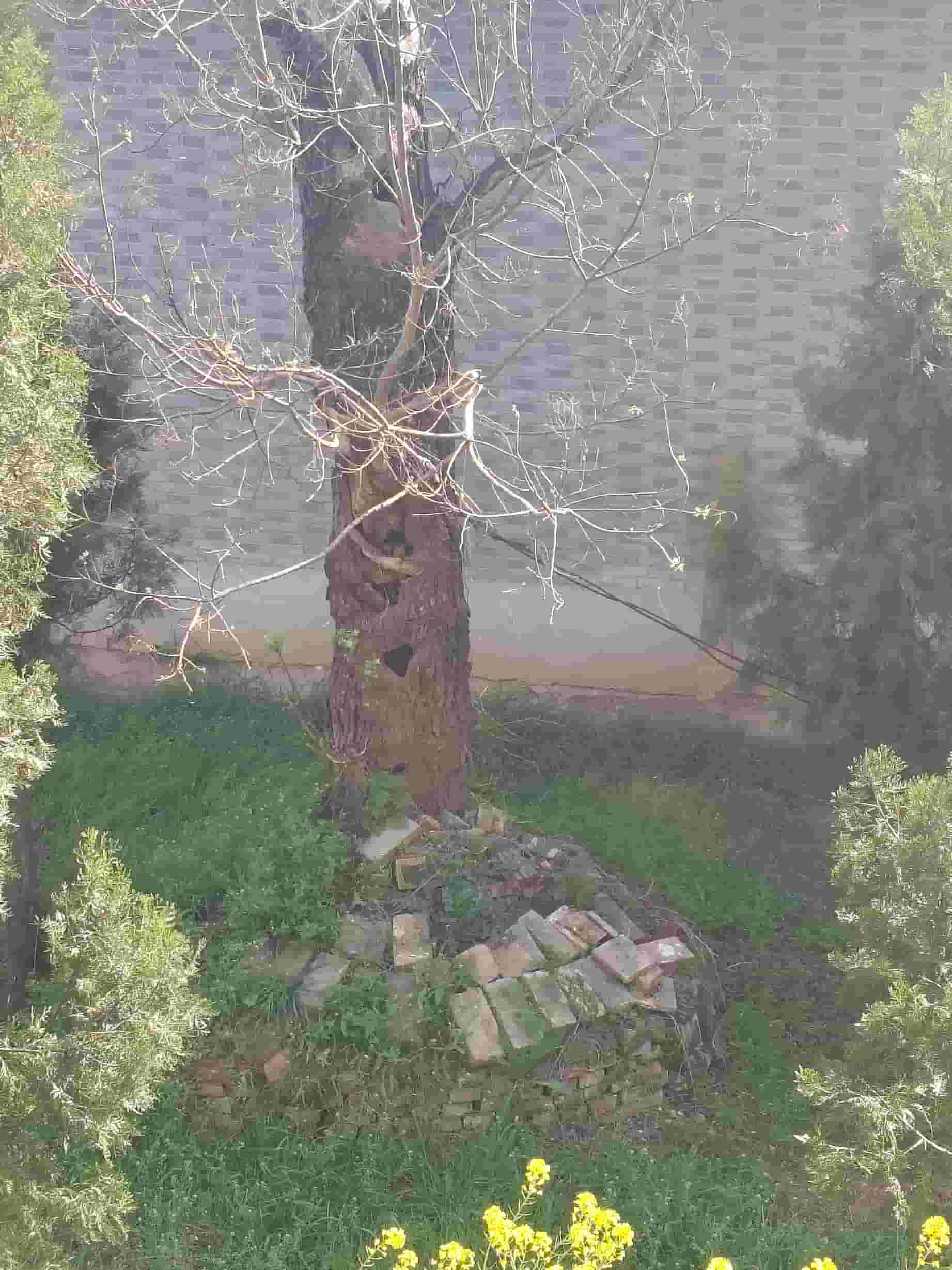 41032900852-3