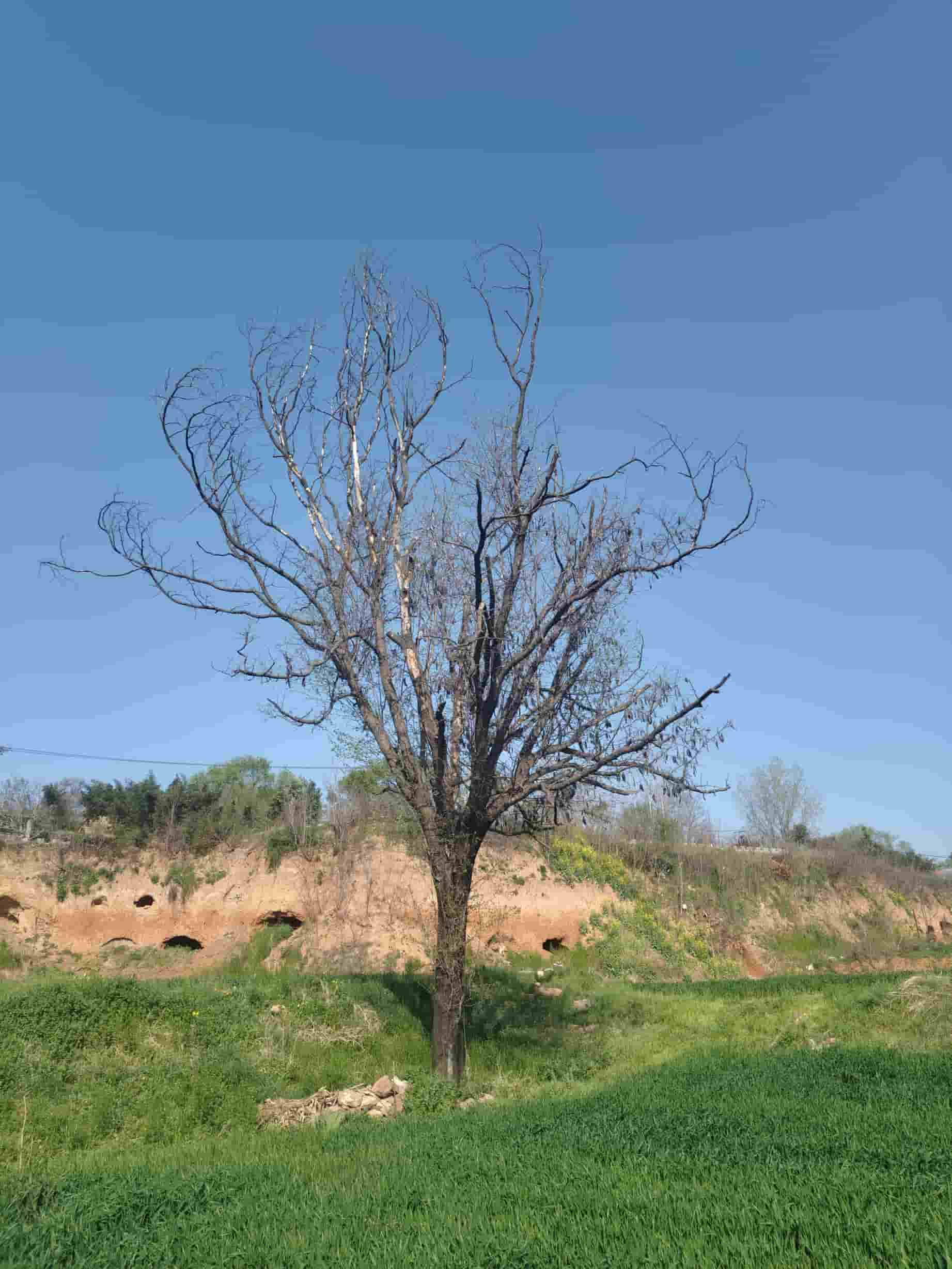 41032900856