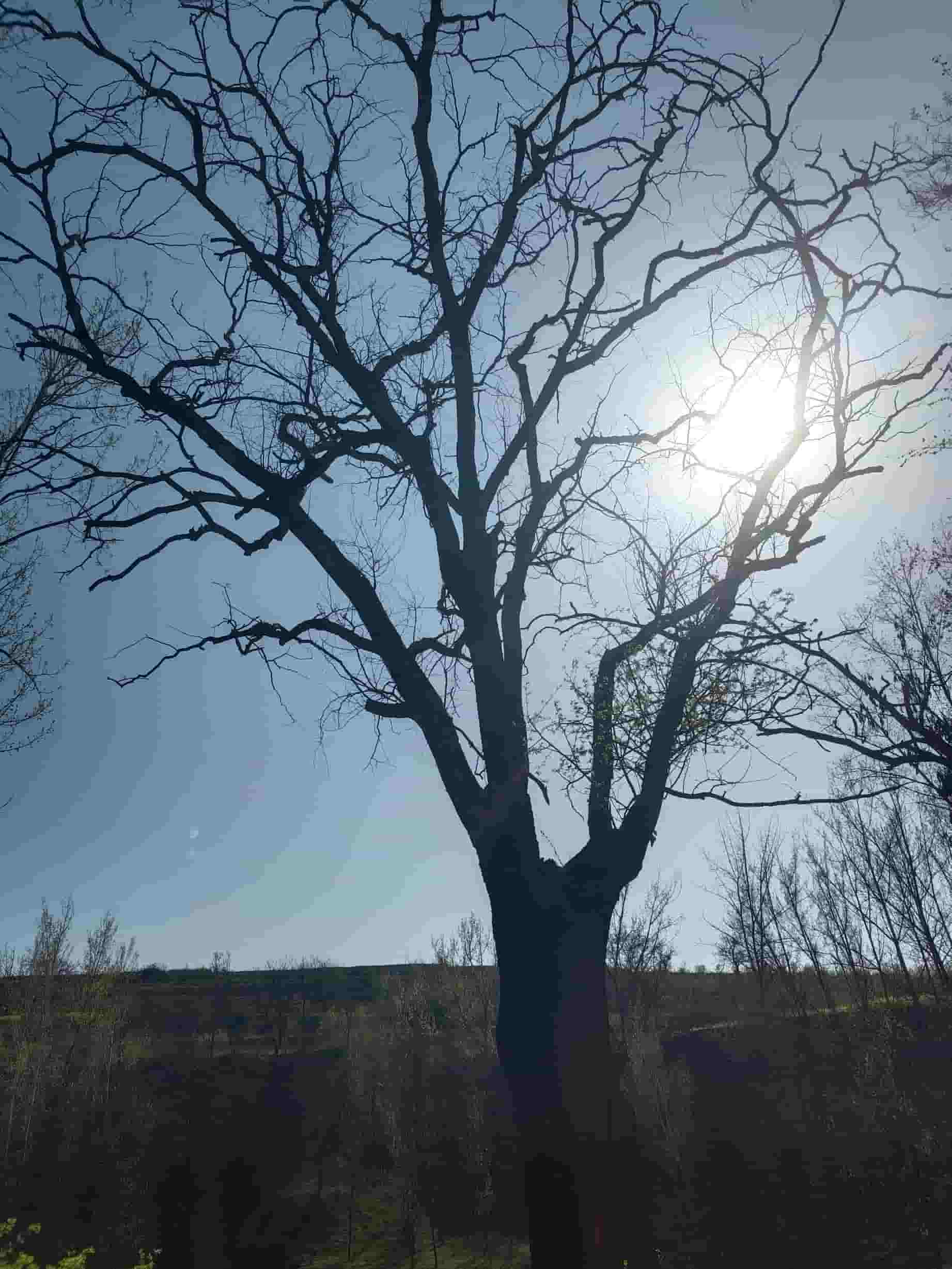 41032900864-3