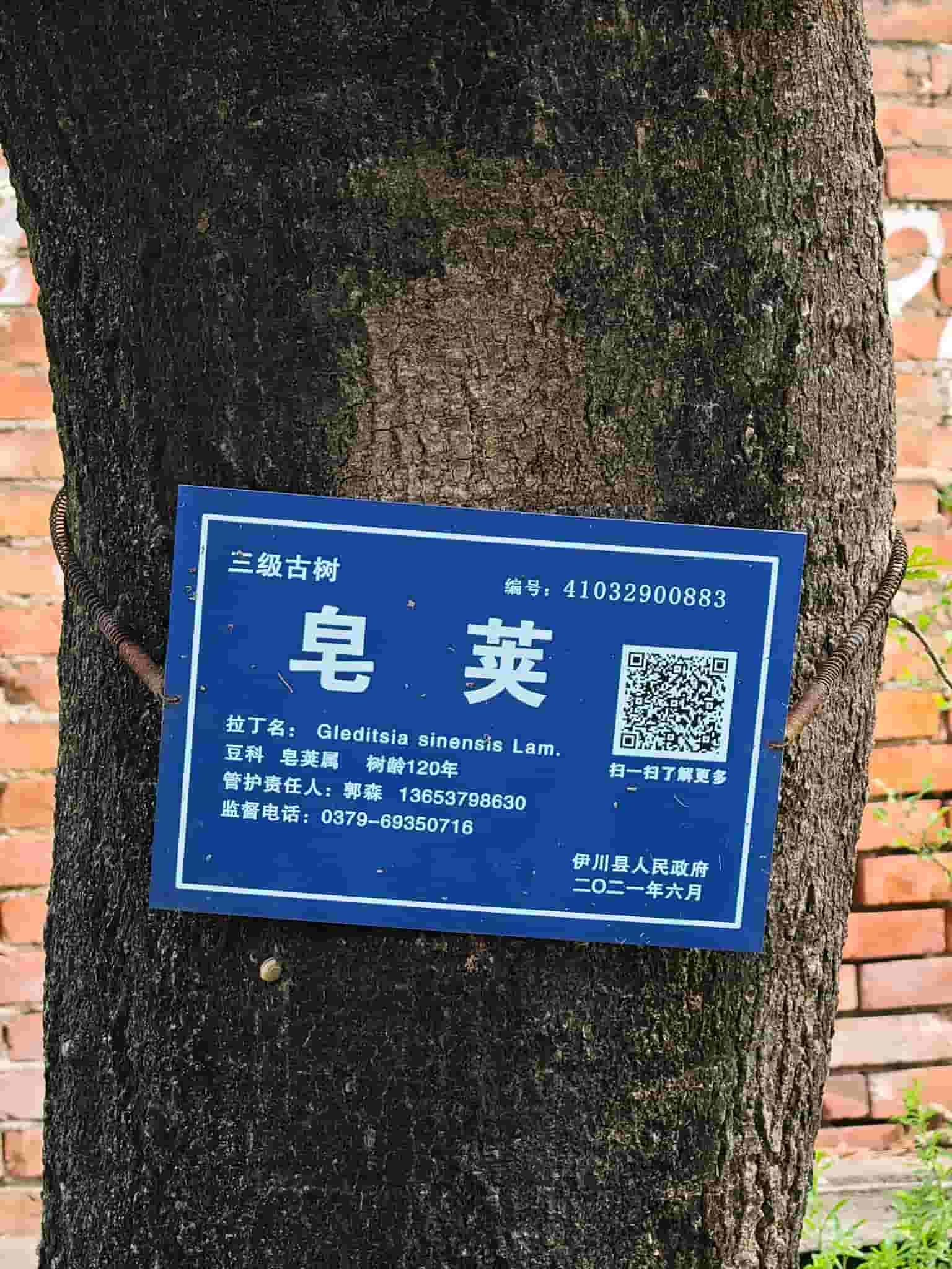 41032900883-4