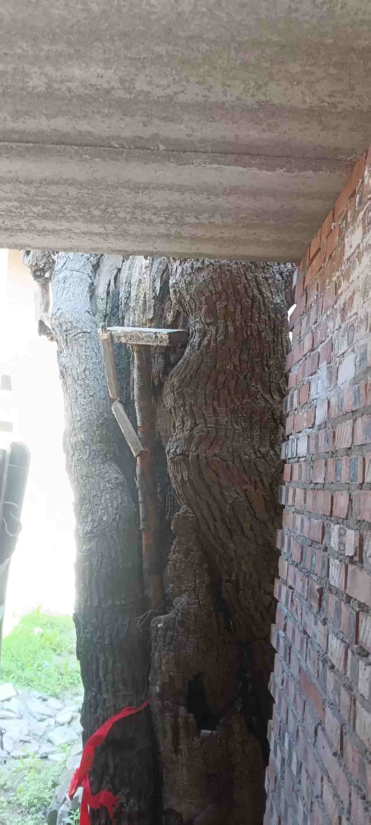 41032900899