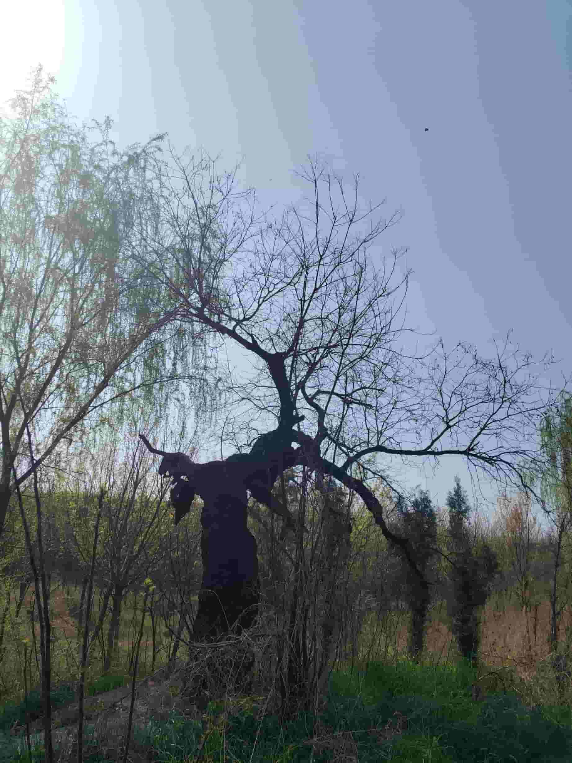 41032900912