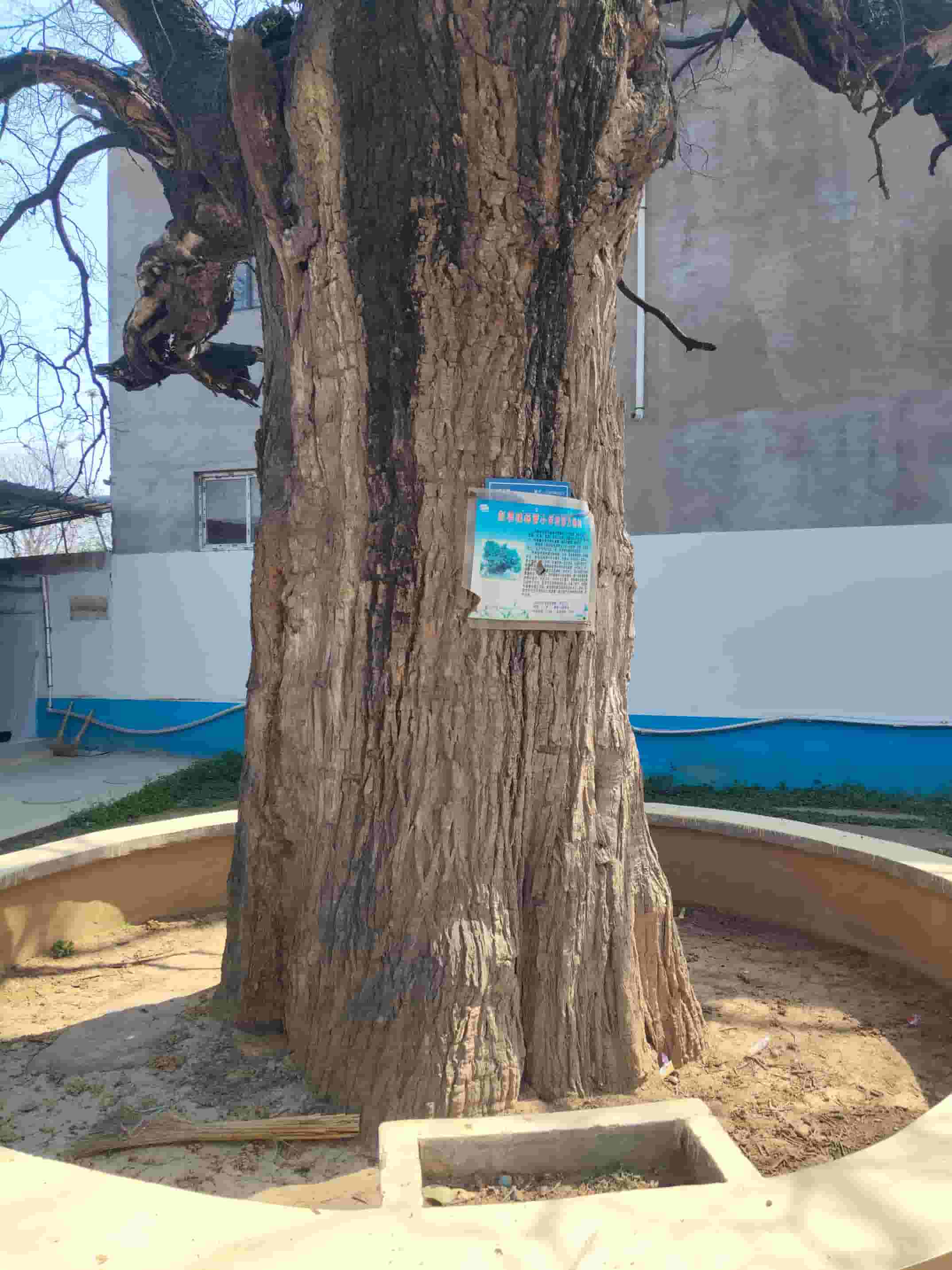41032900913-2