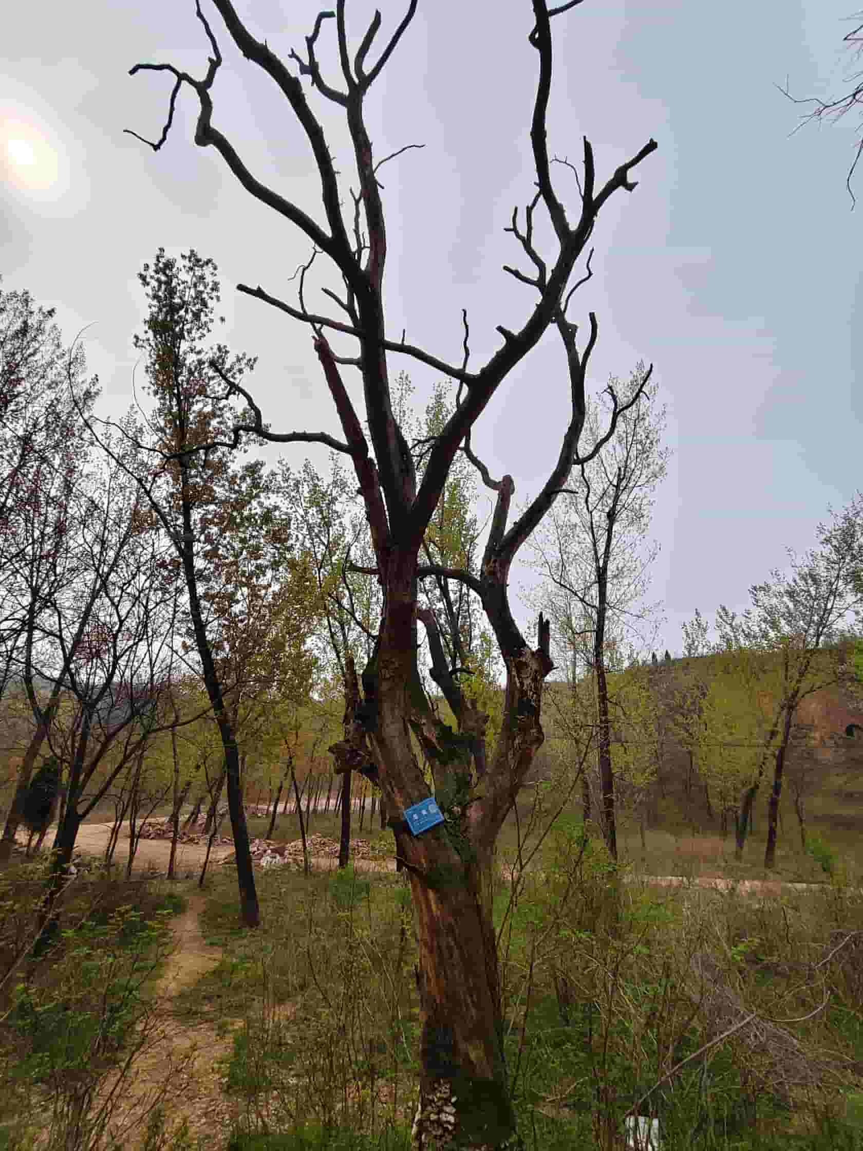 41032900928-3