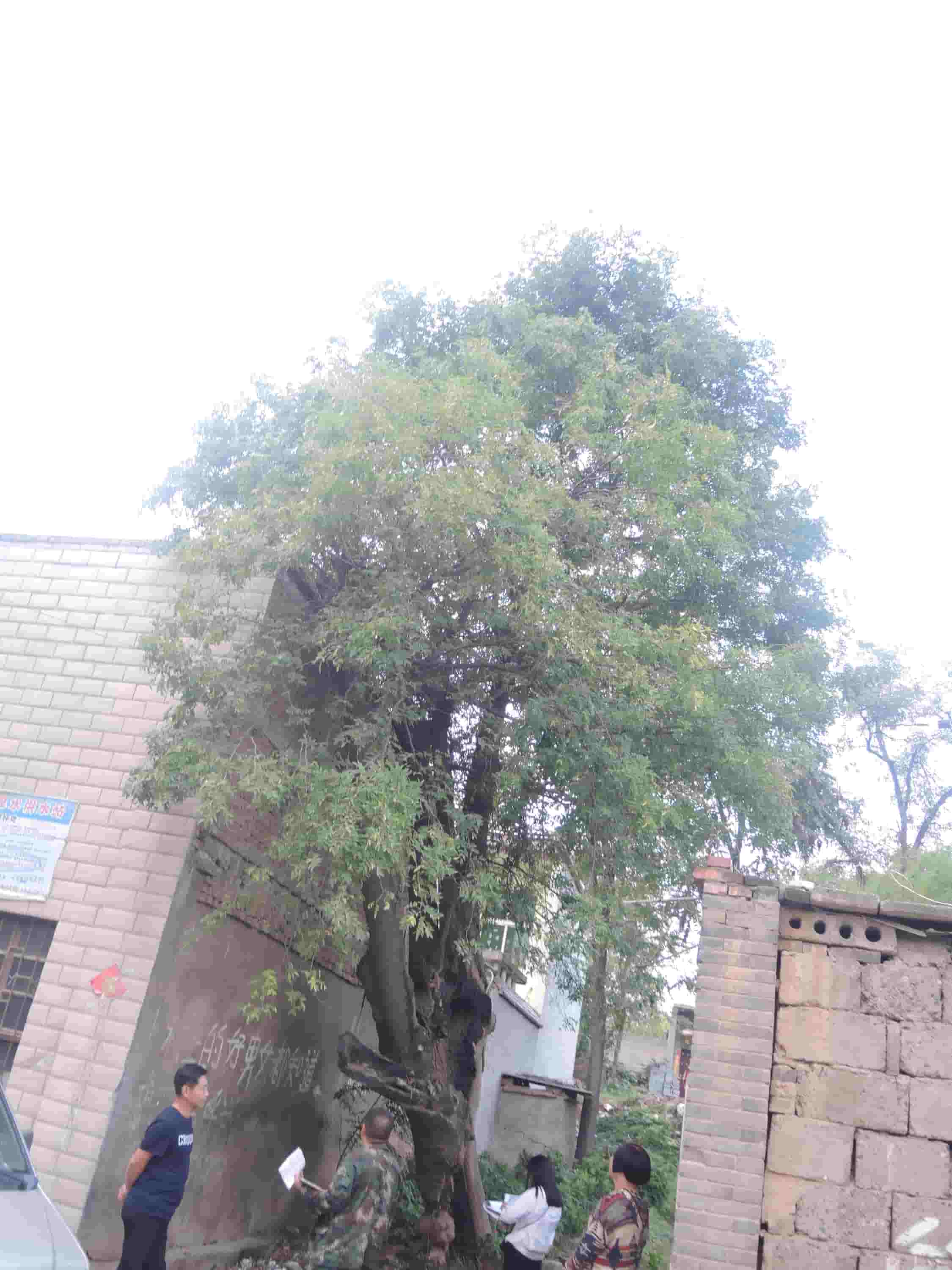 41032900936