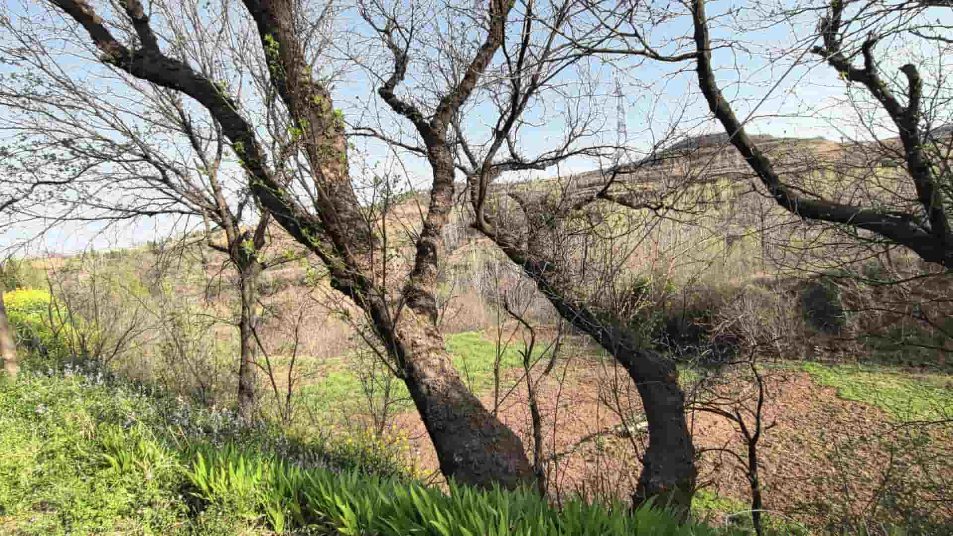 41032900945