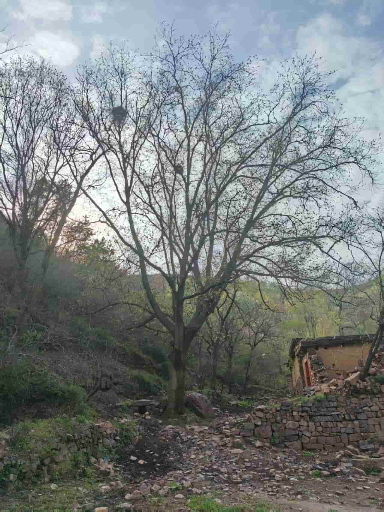 41032900949