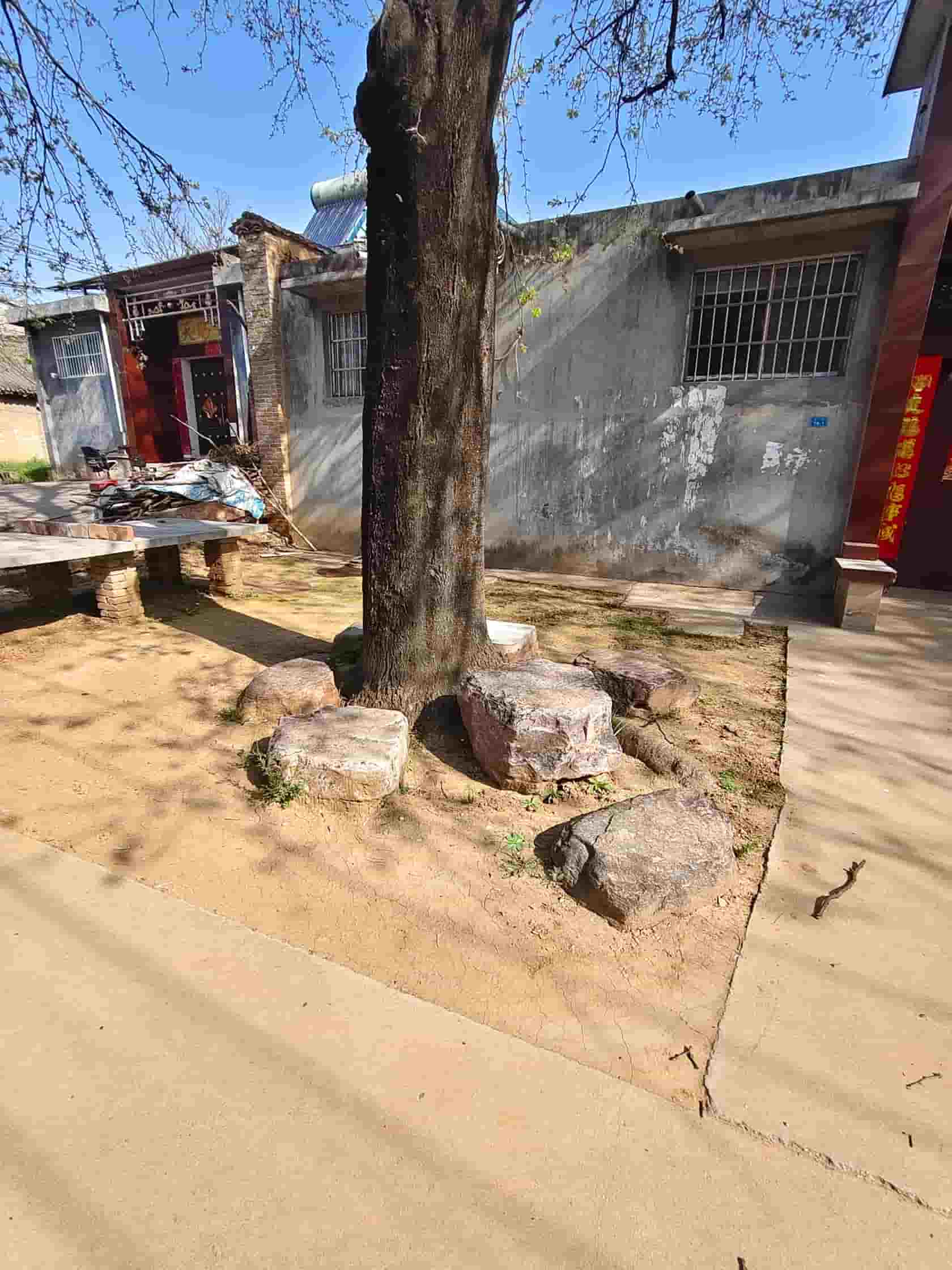 41032900956-2