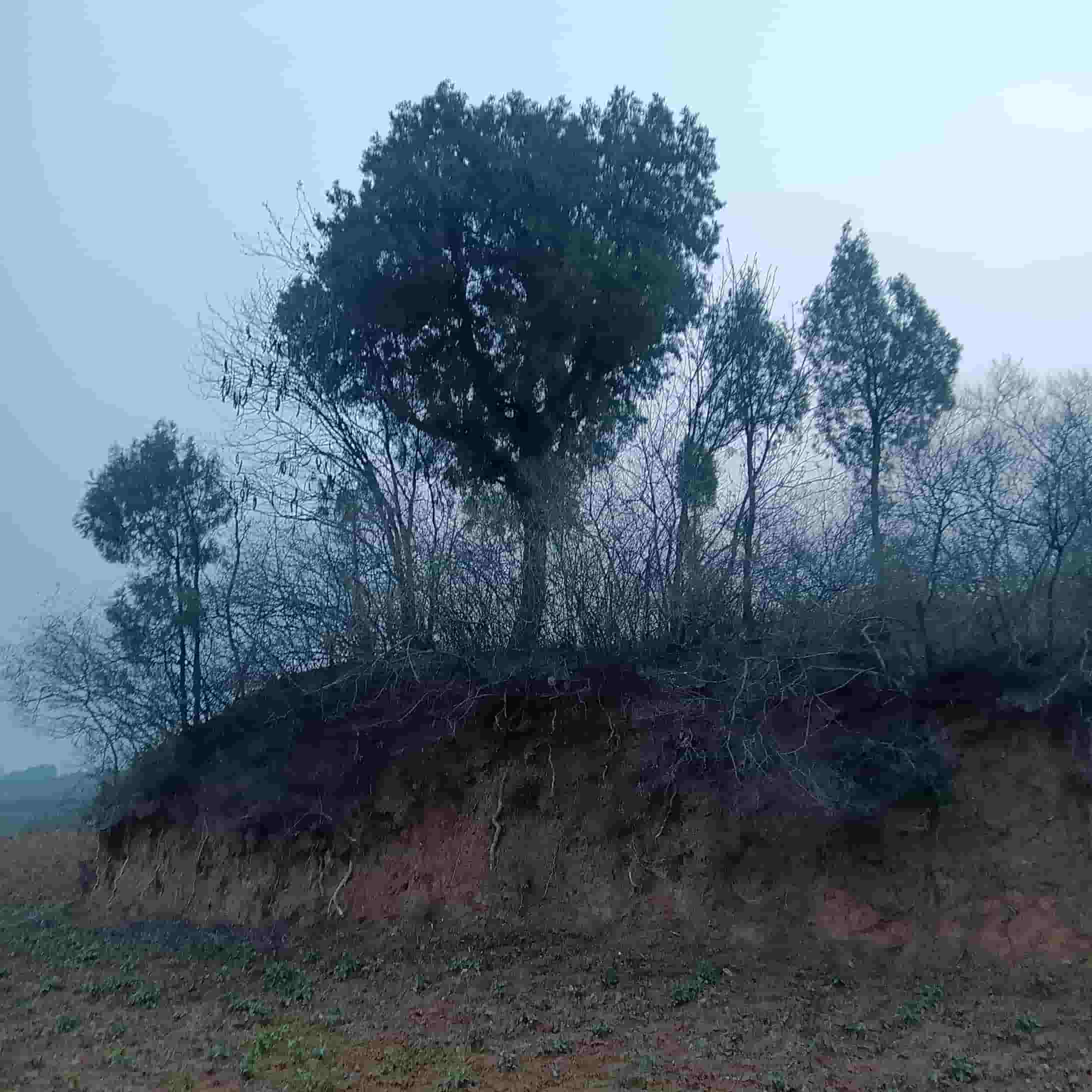 41032900962-6