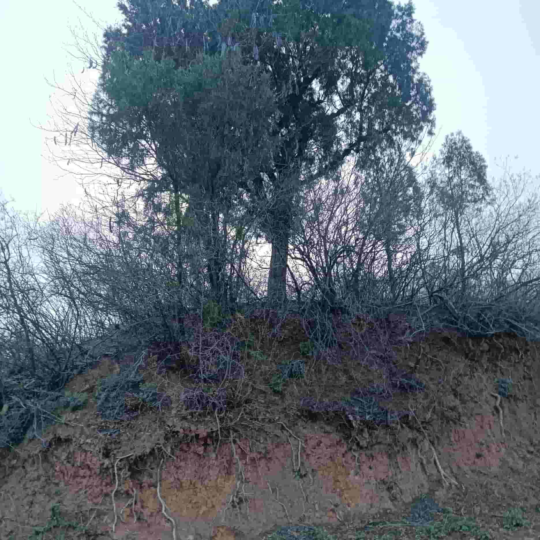 41032900962-7